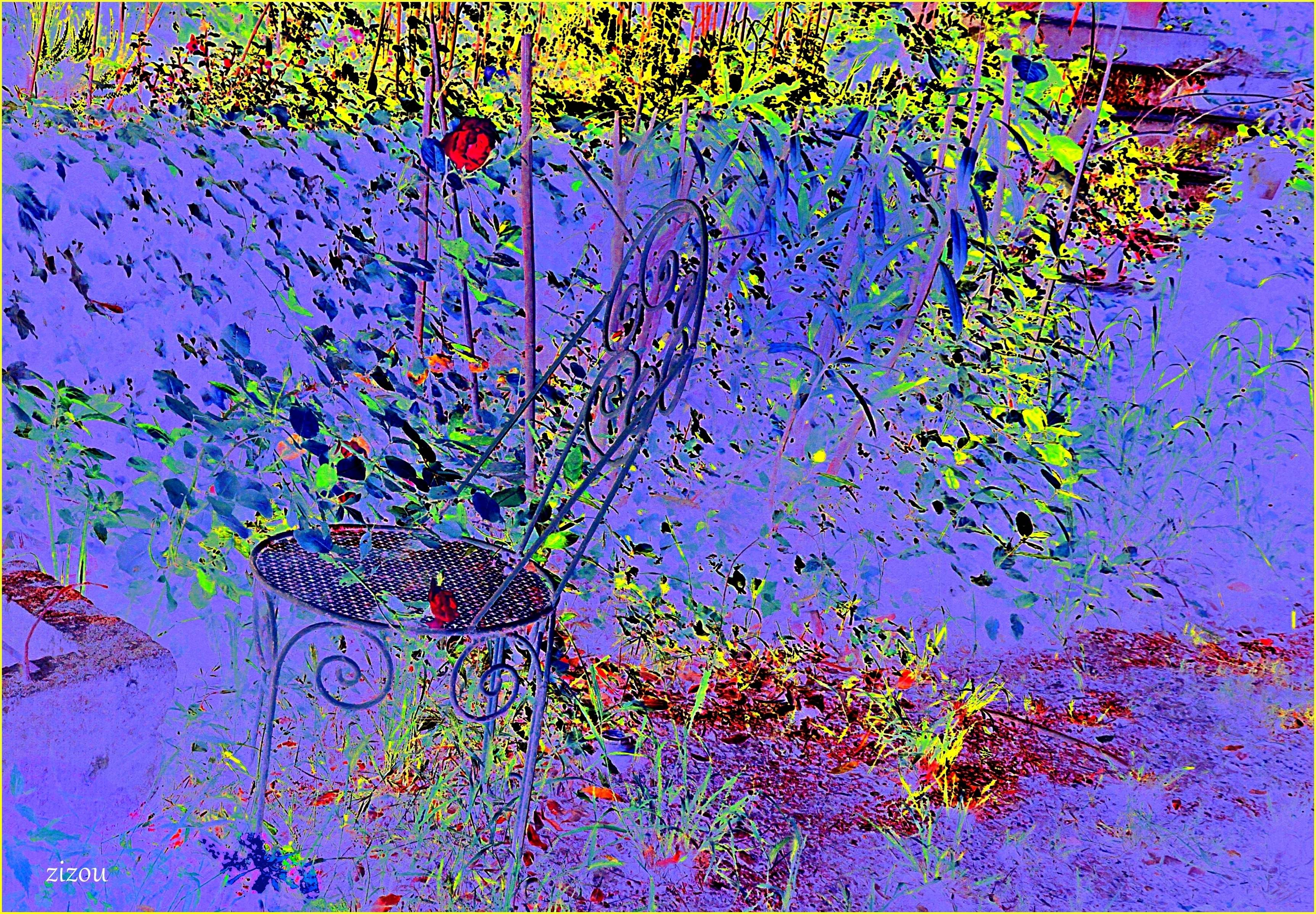 La chaise et les roses !. 