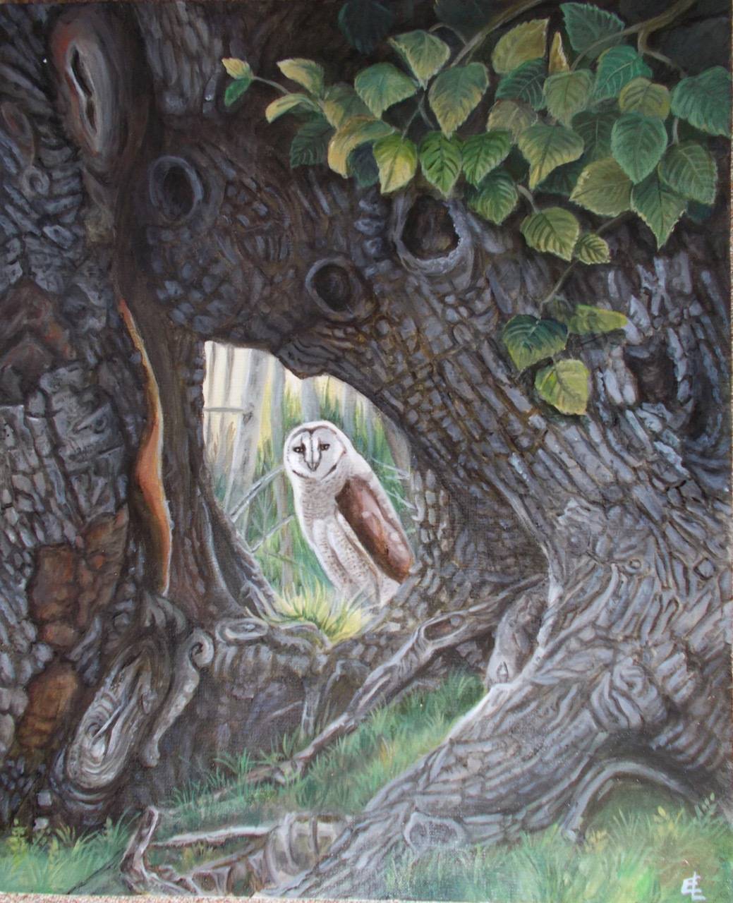 Surprise dans la forêt. 