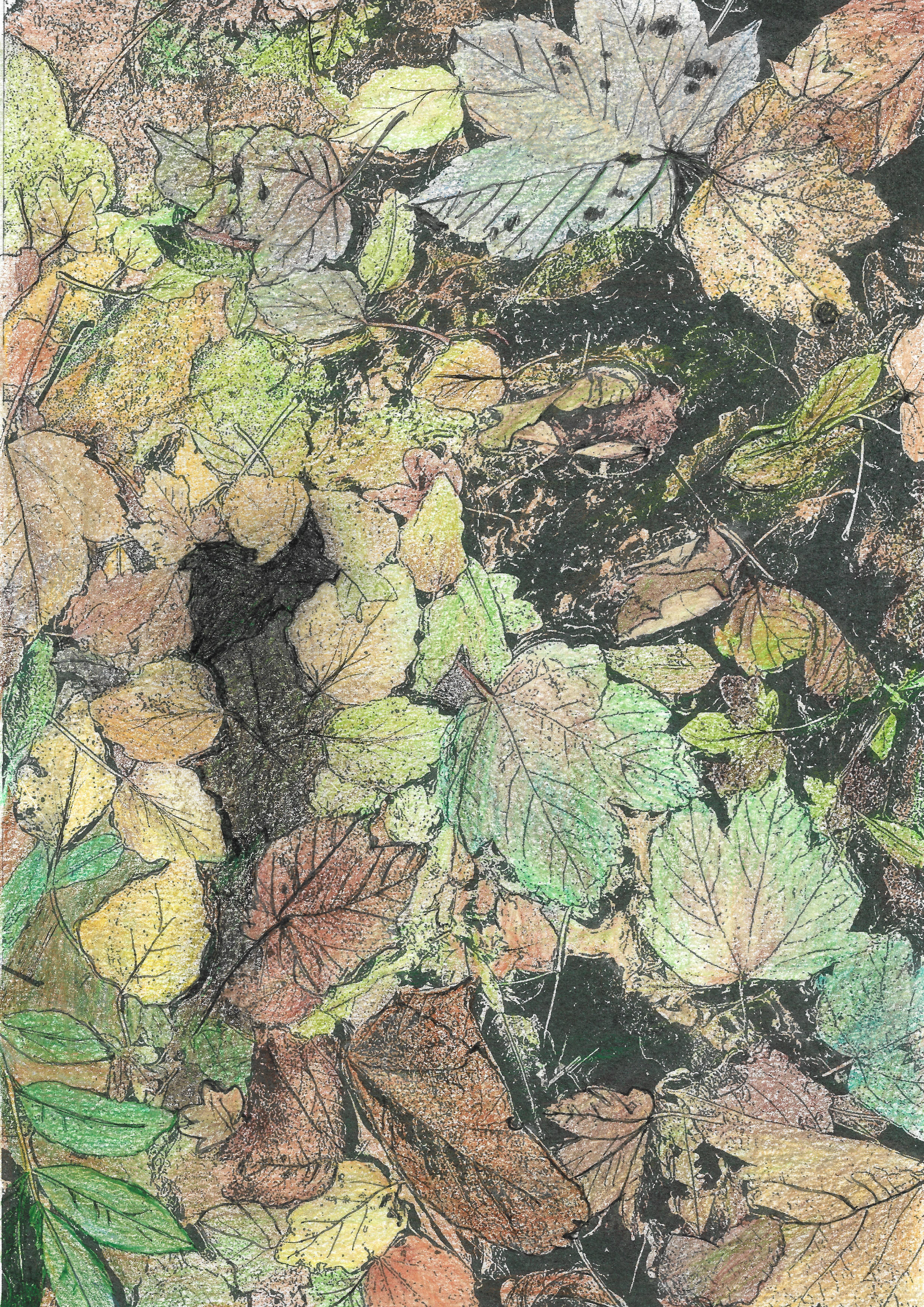 Fallen Leaves under theTrees. Dawn Clayton