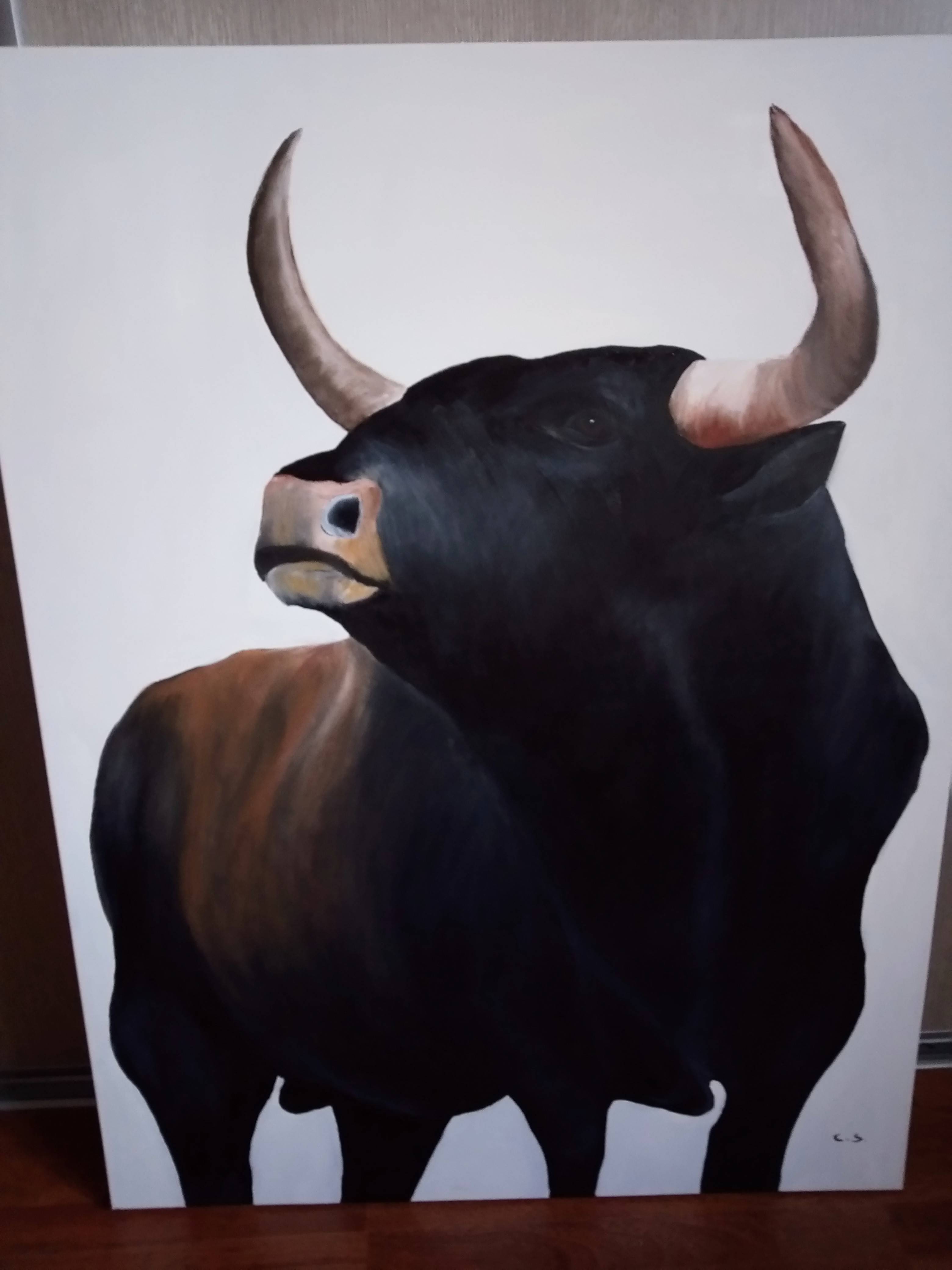 Taureau majestueux. Chantals