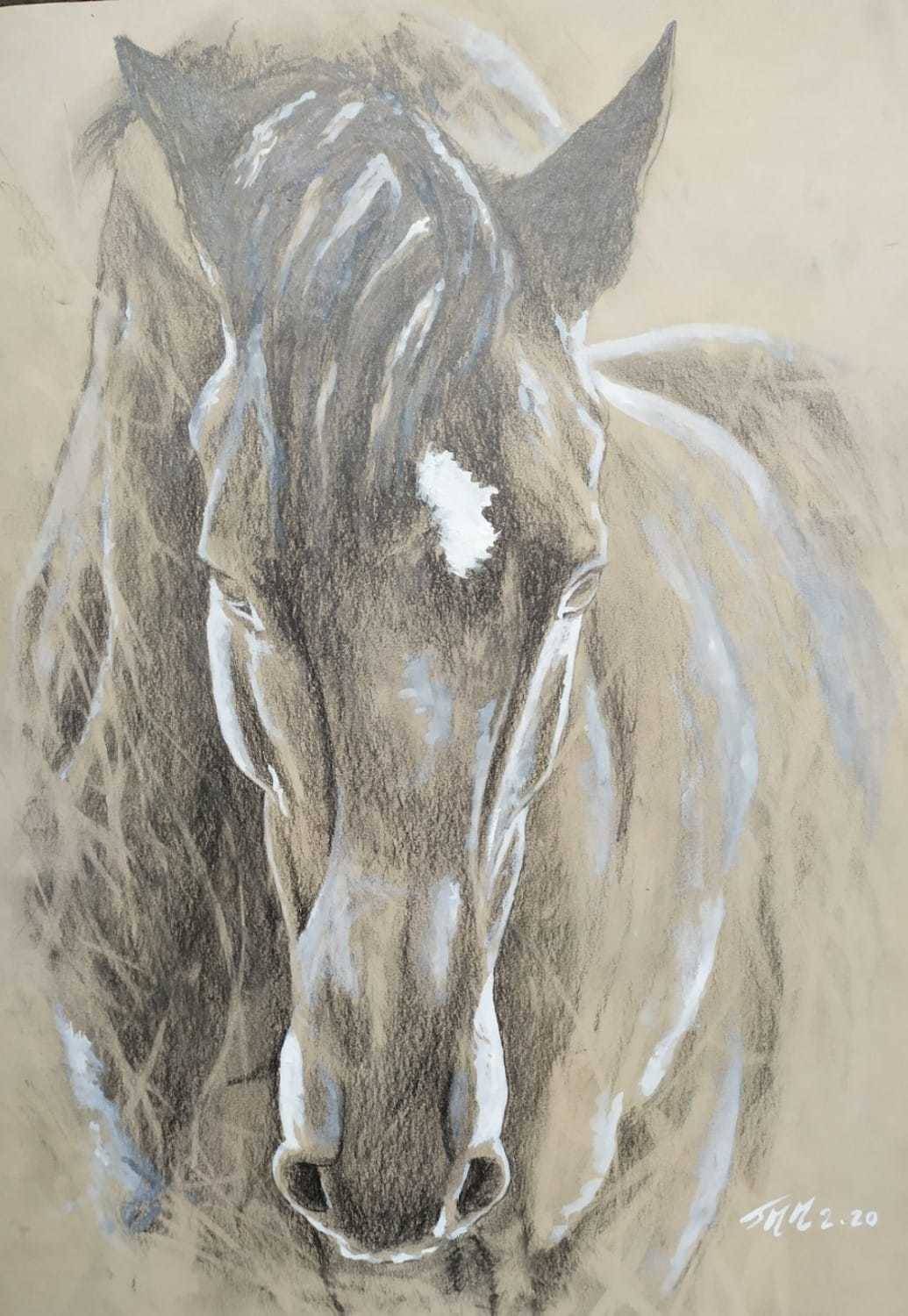 Cheval. Jean Michel Marand