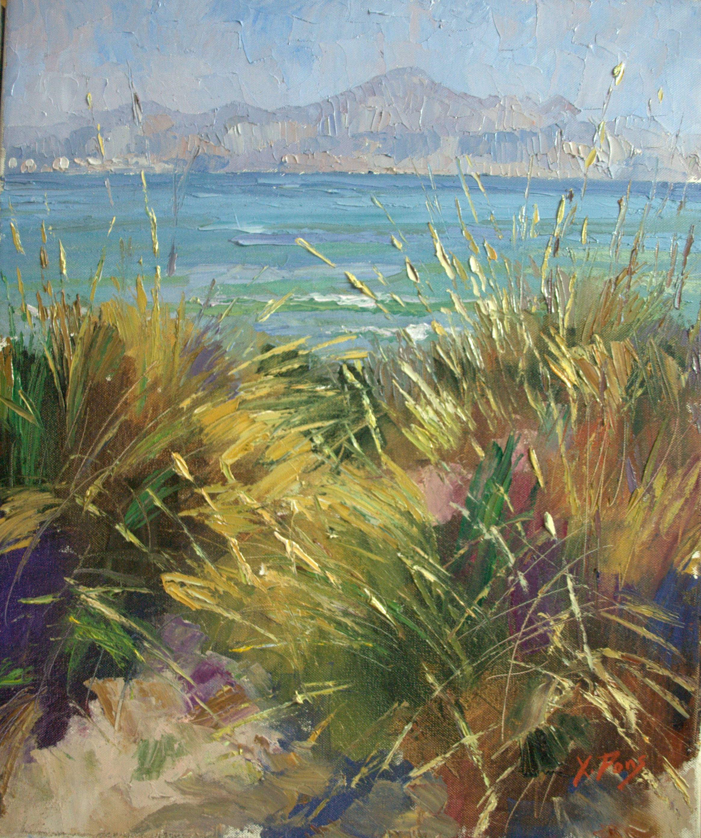 A Son Serra de Marina, Mallorca. Xavier Pons Rosell
