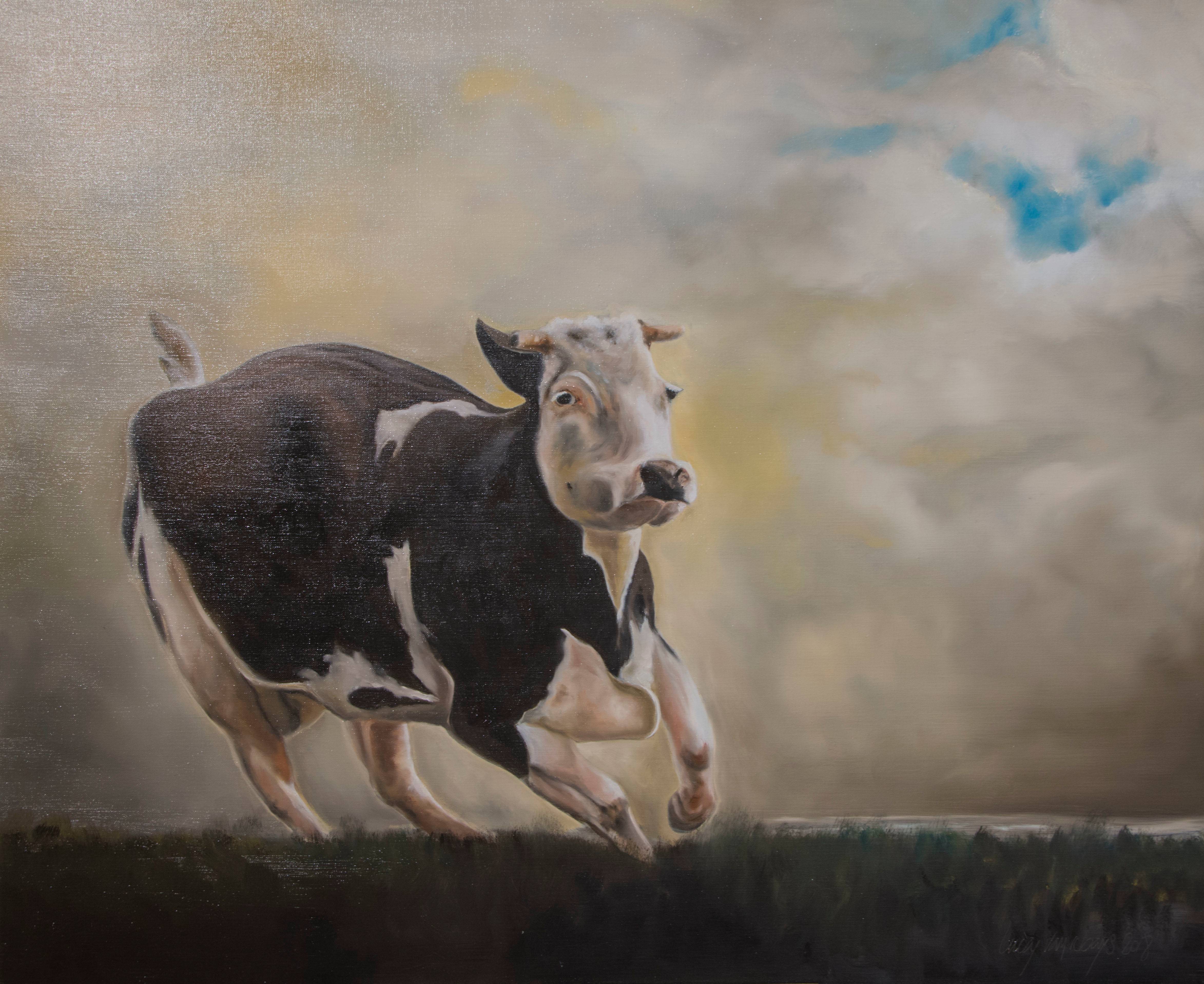 Running holstein. Lucas Van Robays