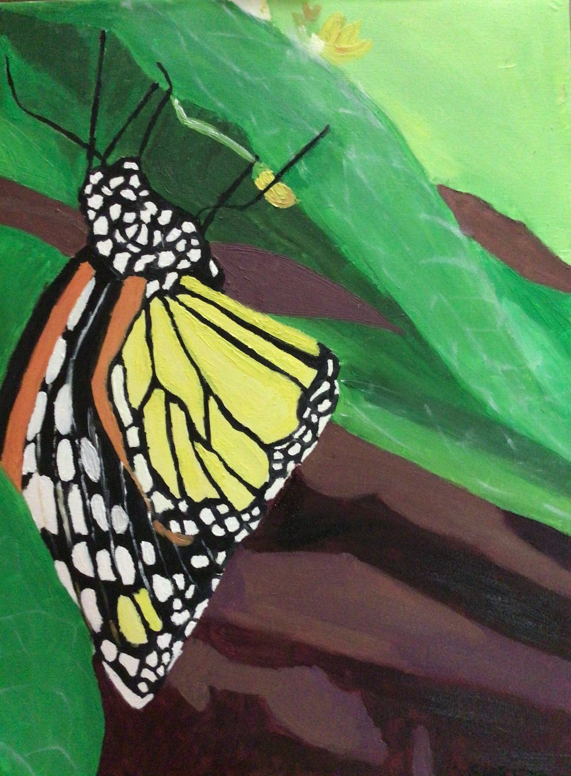 Butterfly at Jurong. Shreya Sharma