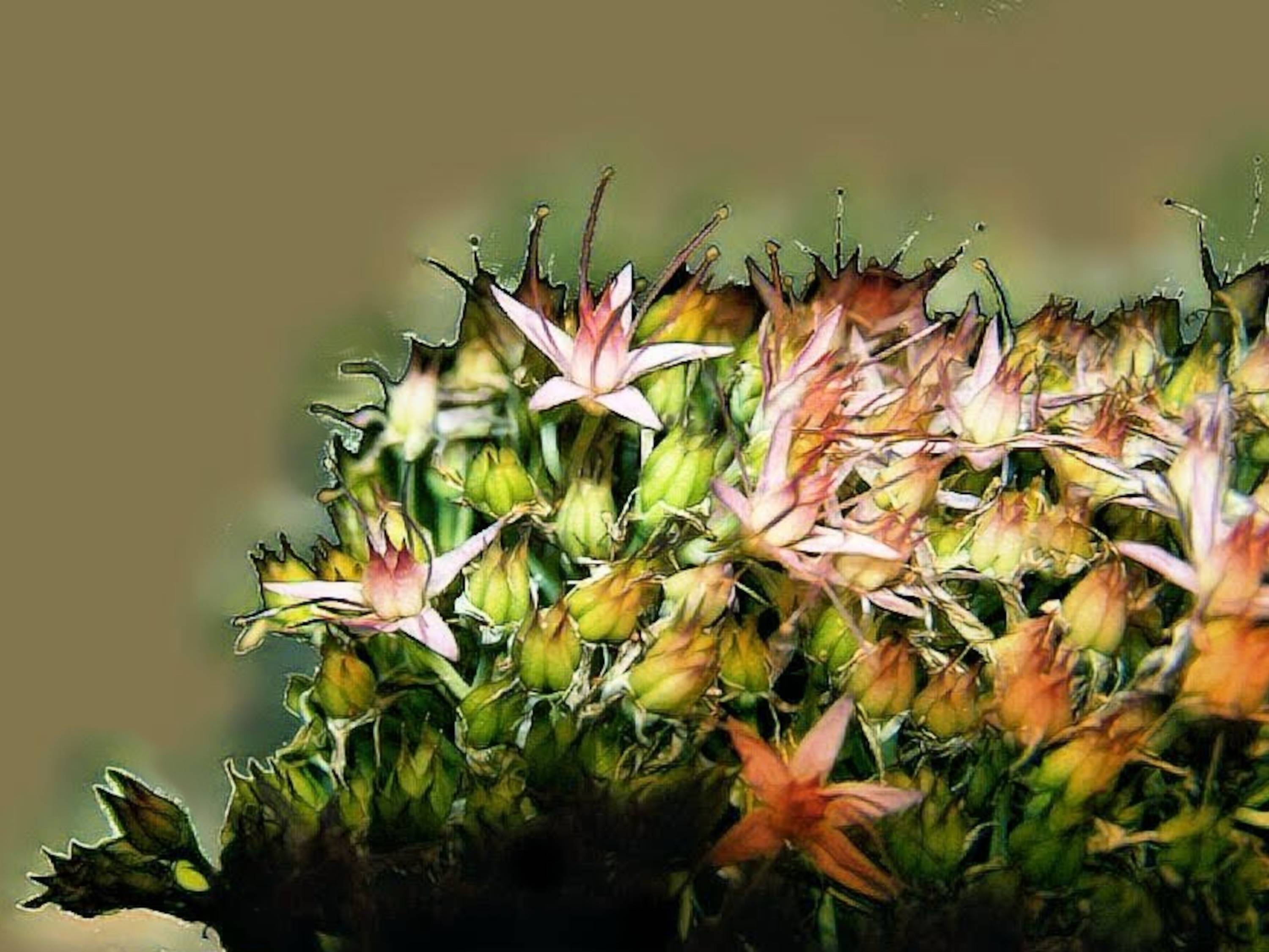 Discret Orpin. _Hub_ _Hub_