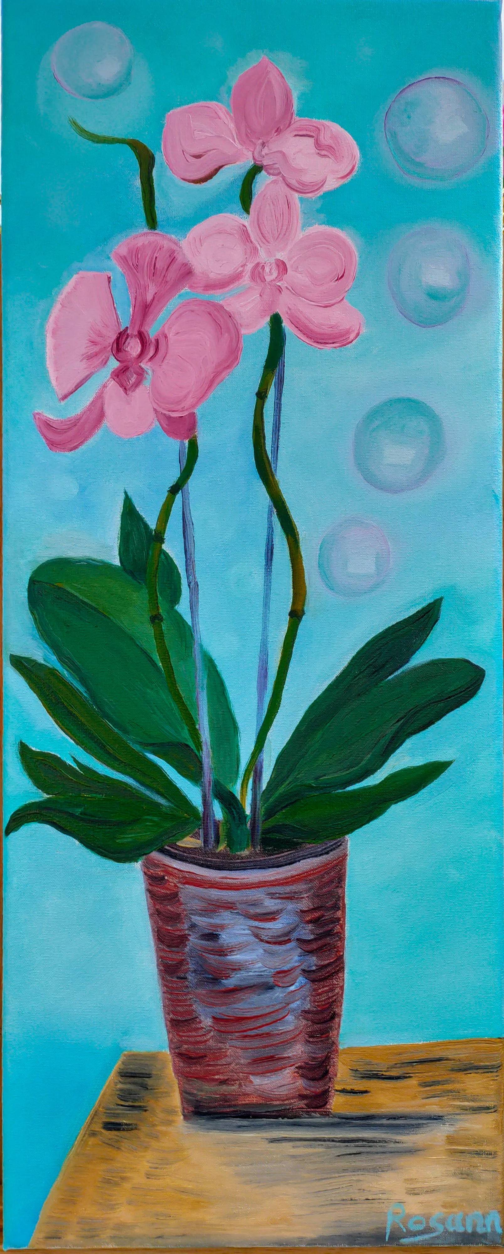 Orchidée Bulle. Rosann