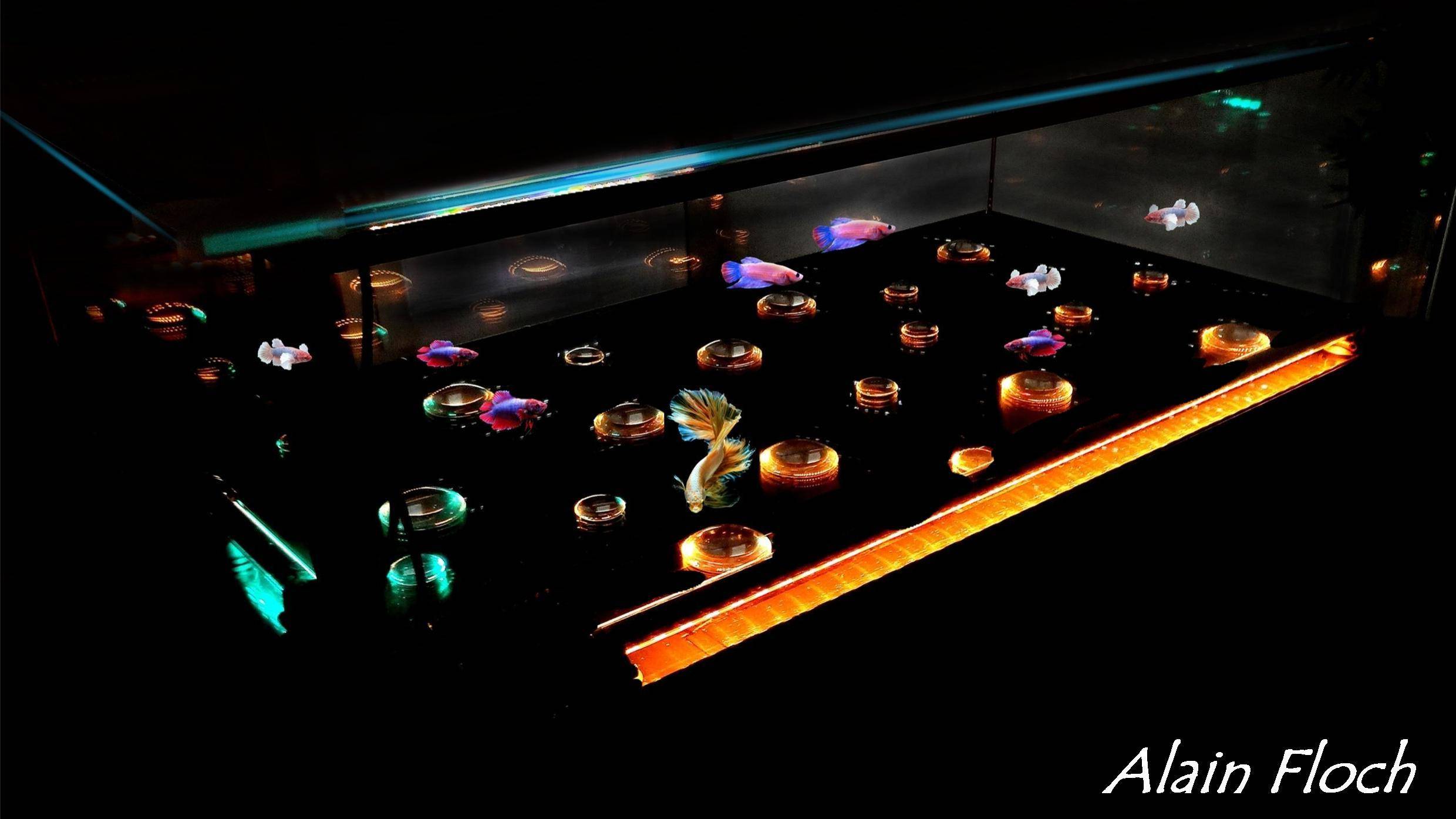 Ambassador Coffee Table. Alain Floch Alain Floch