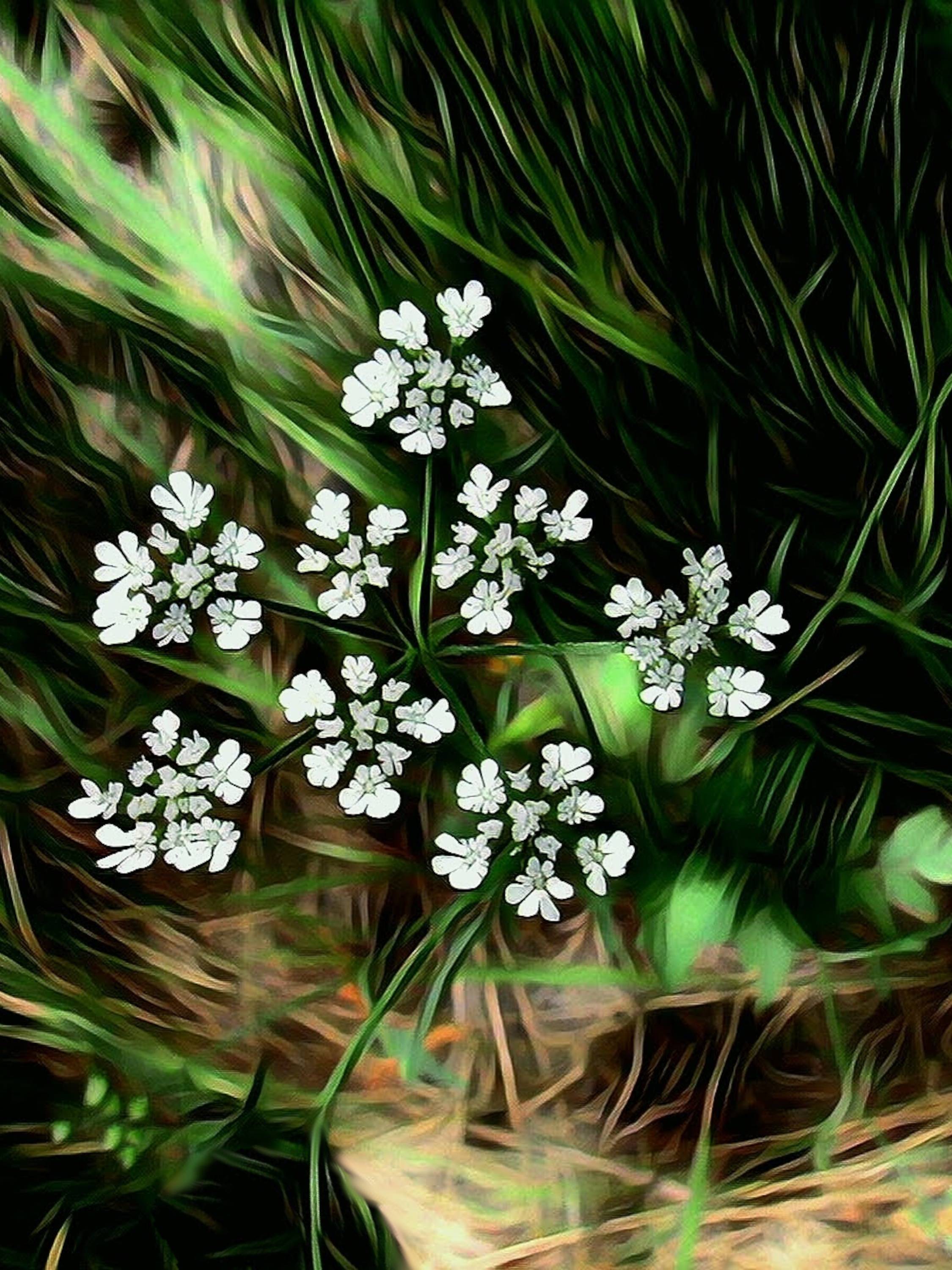 Pure blancheur. _Hub_ _Hub_