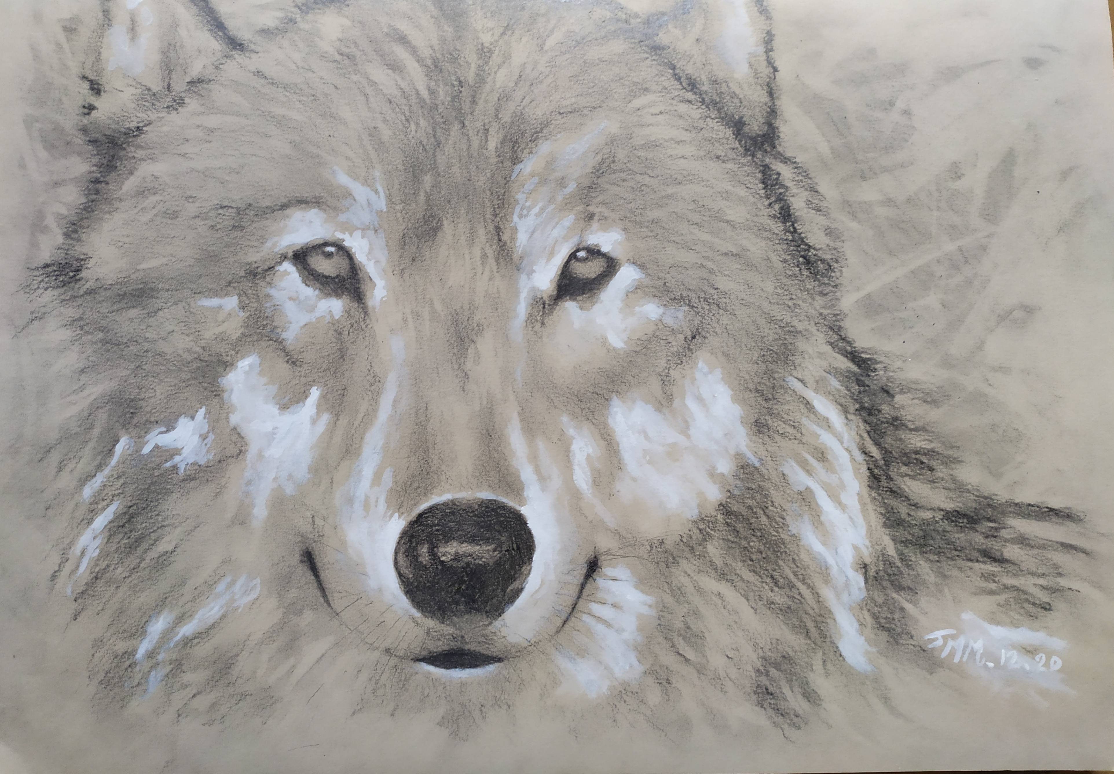 Loup. 