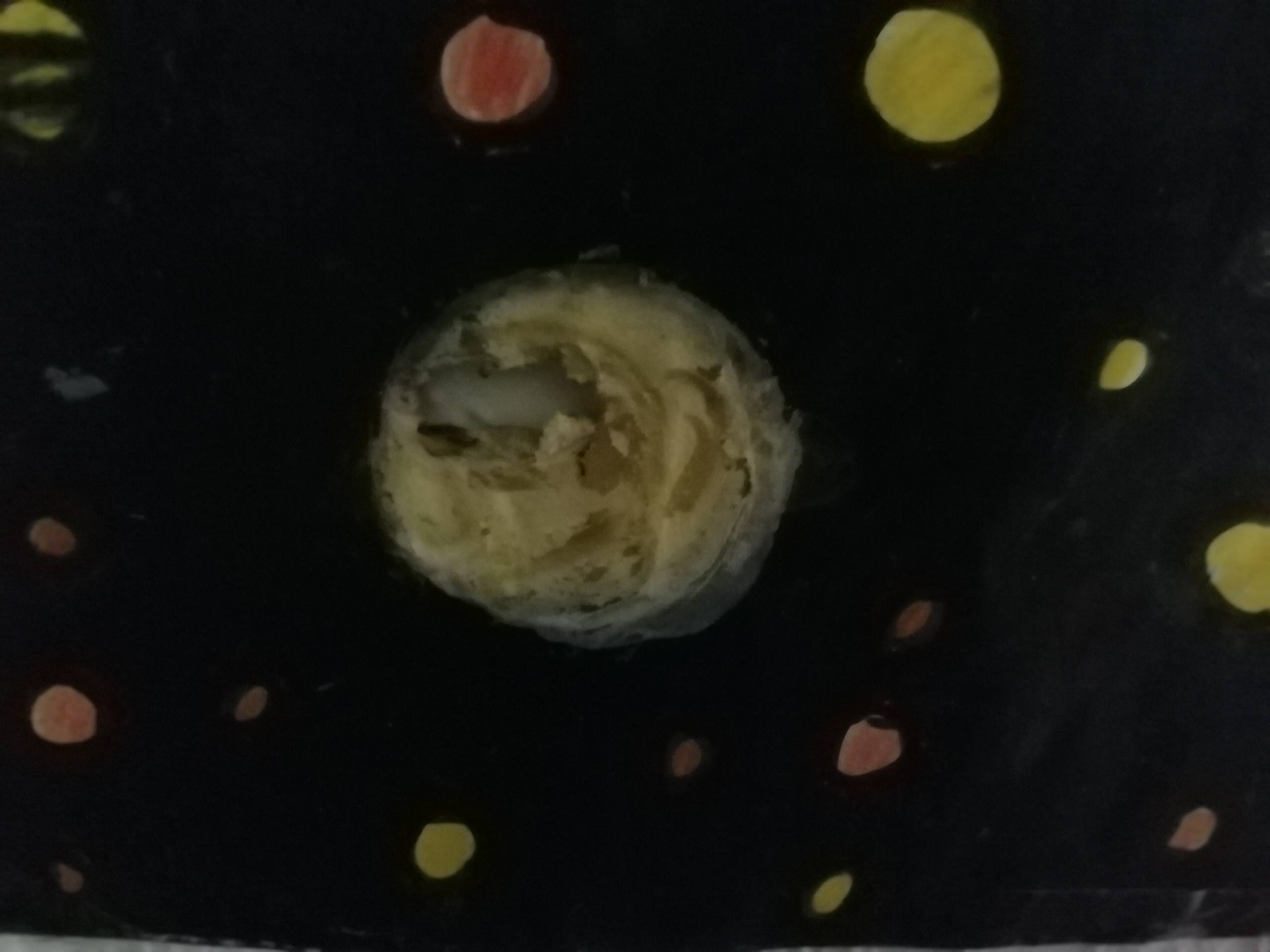 Planeten. Marie Eleonore Marie Eleonore