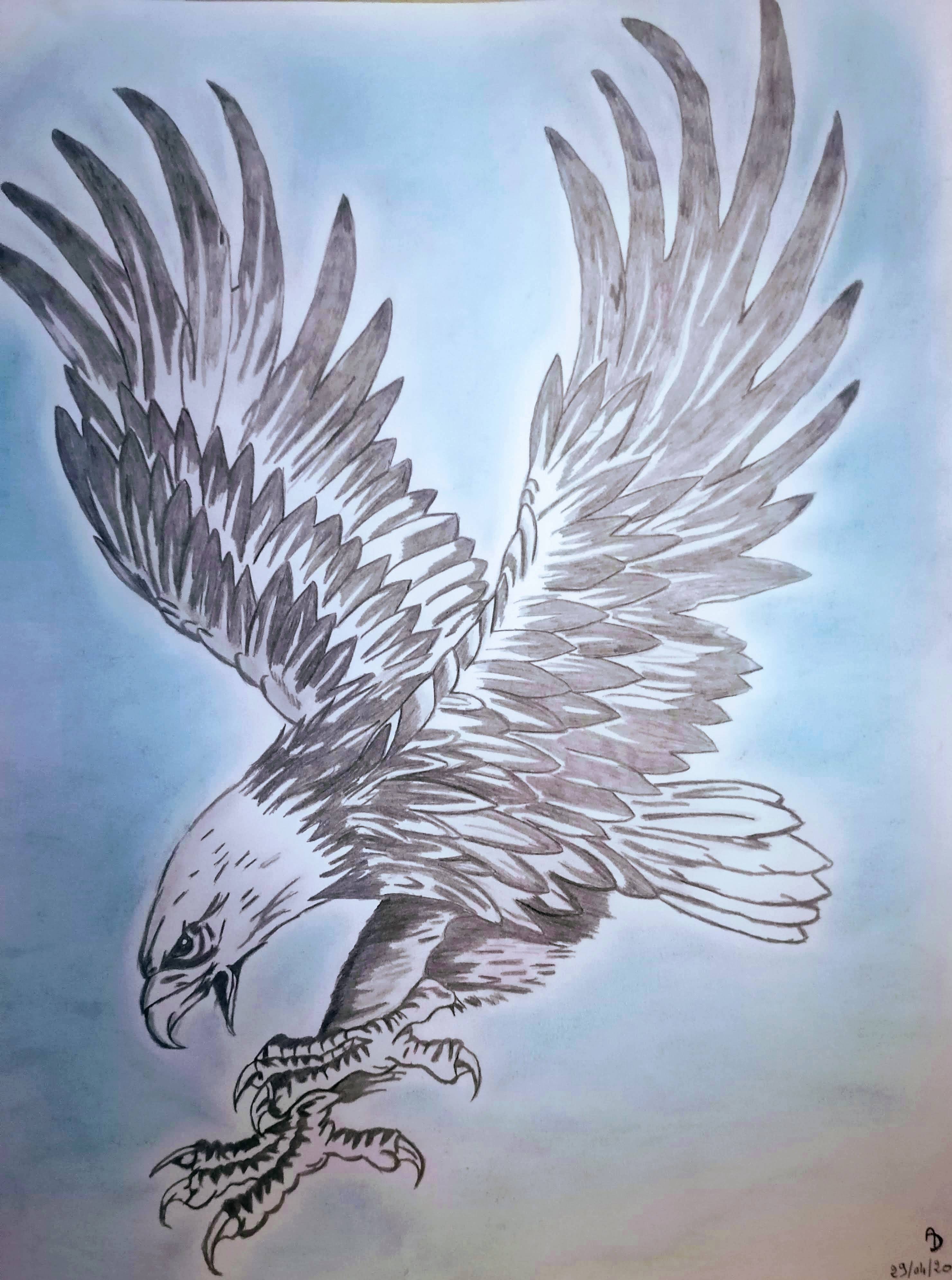Aigle Royal. 