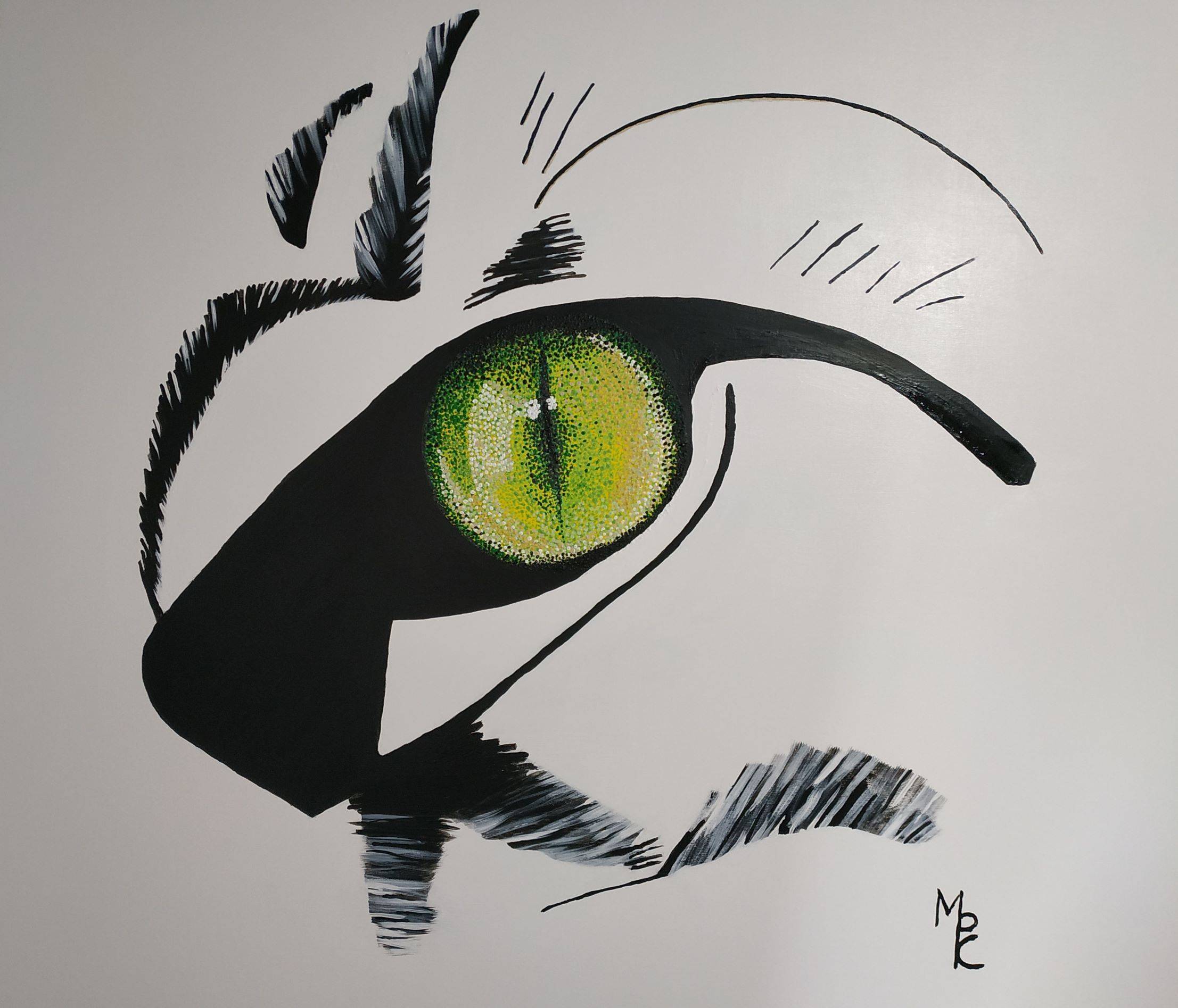 Eye of cat or I look at you. Marie-Pierre Chaine