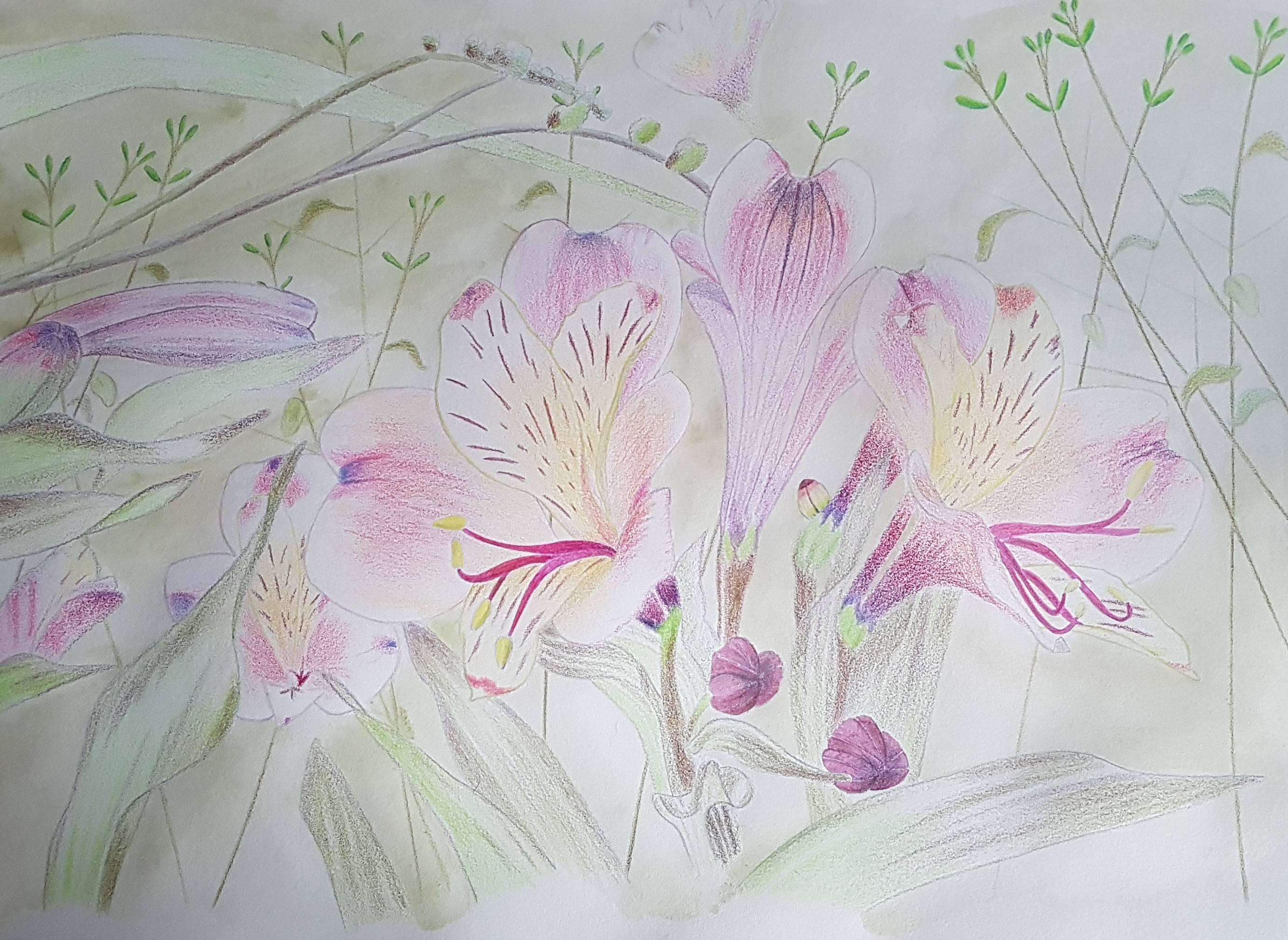 Fleur au jardin 2. 