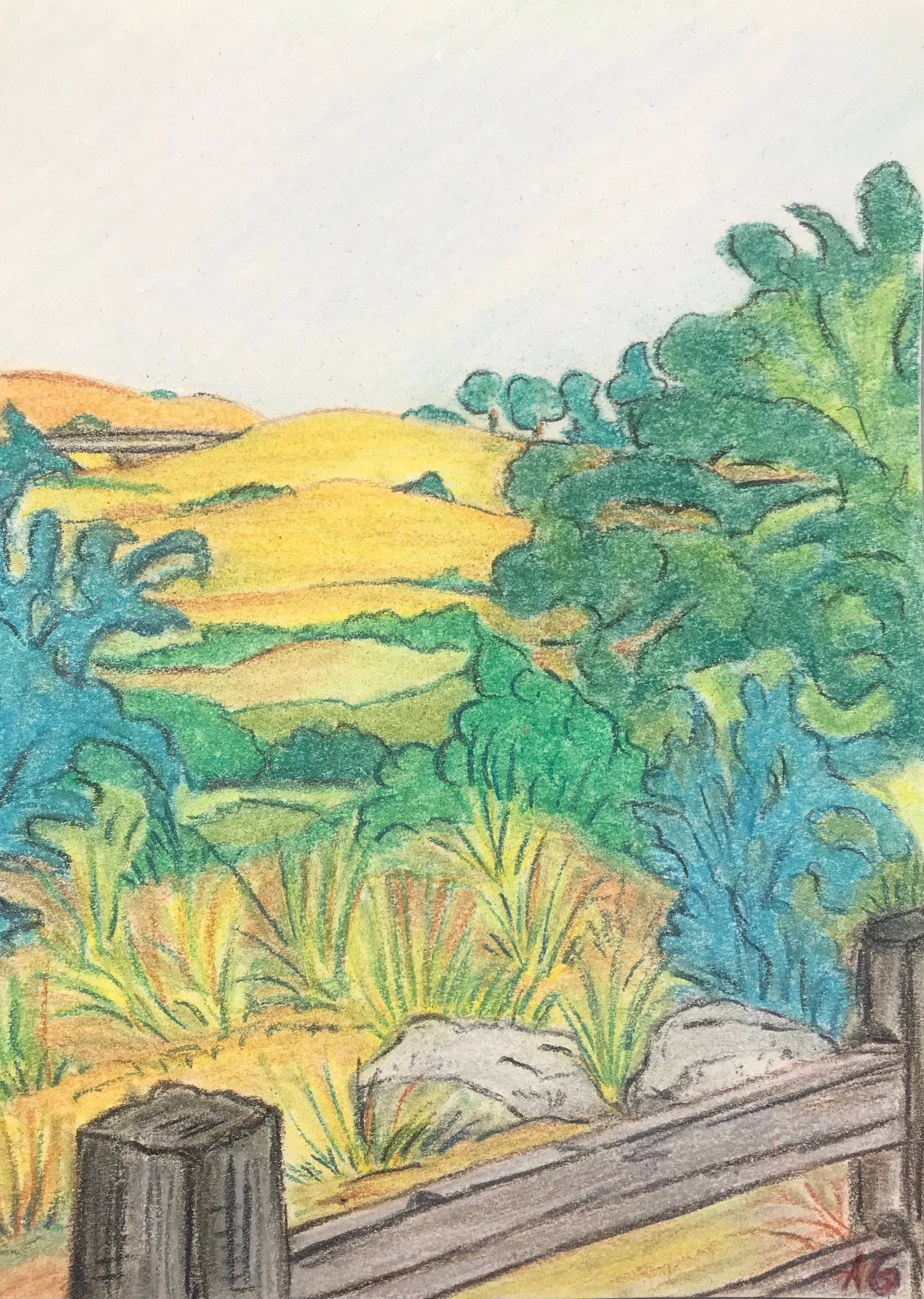 Summer landscape canyon. Anu Gujral