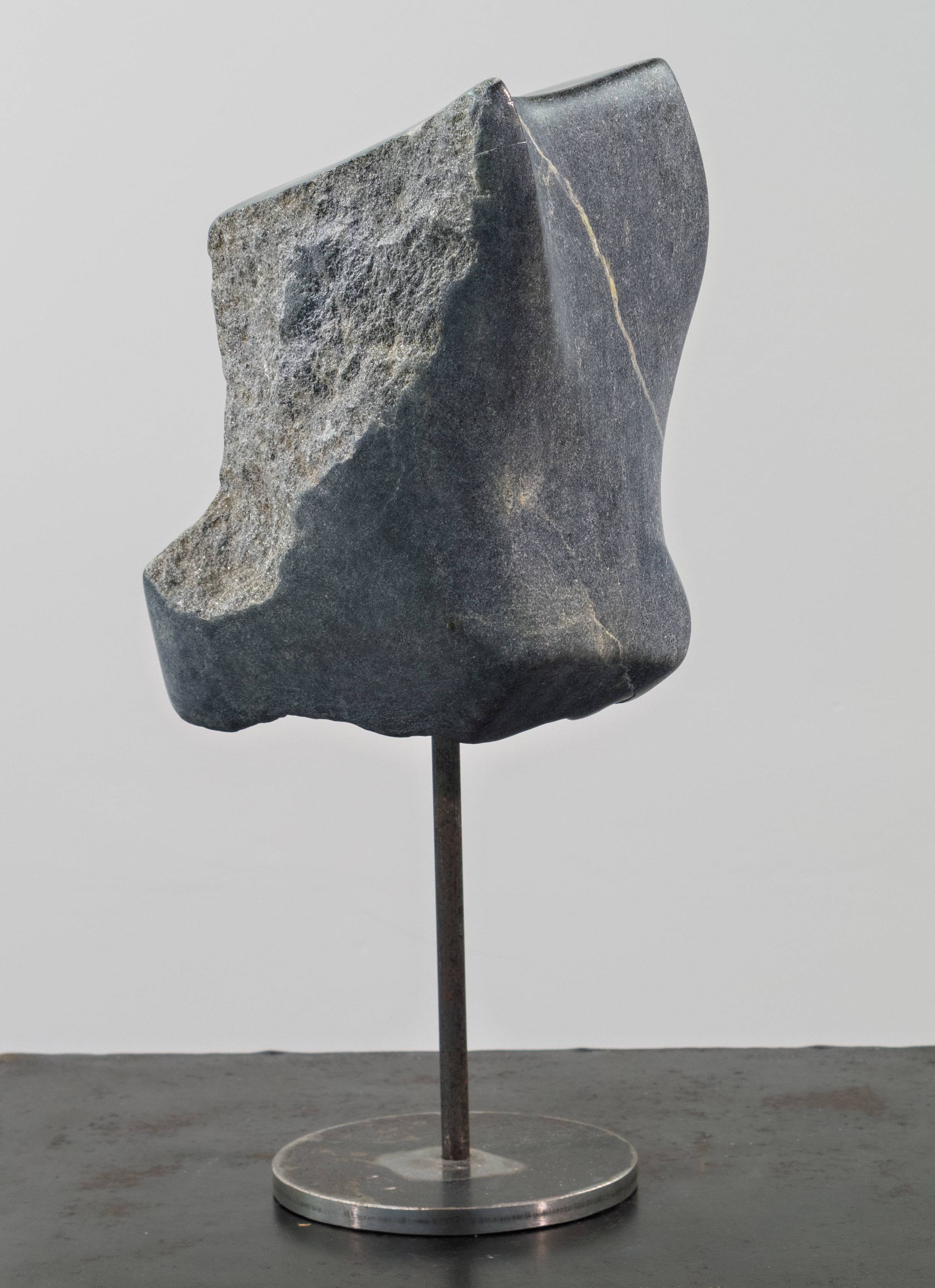 Coyote. René Kubiak René Kubiak