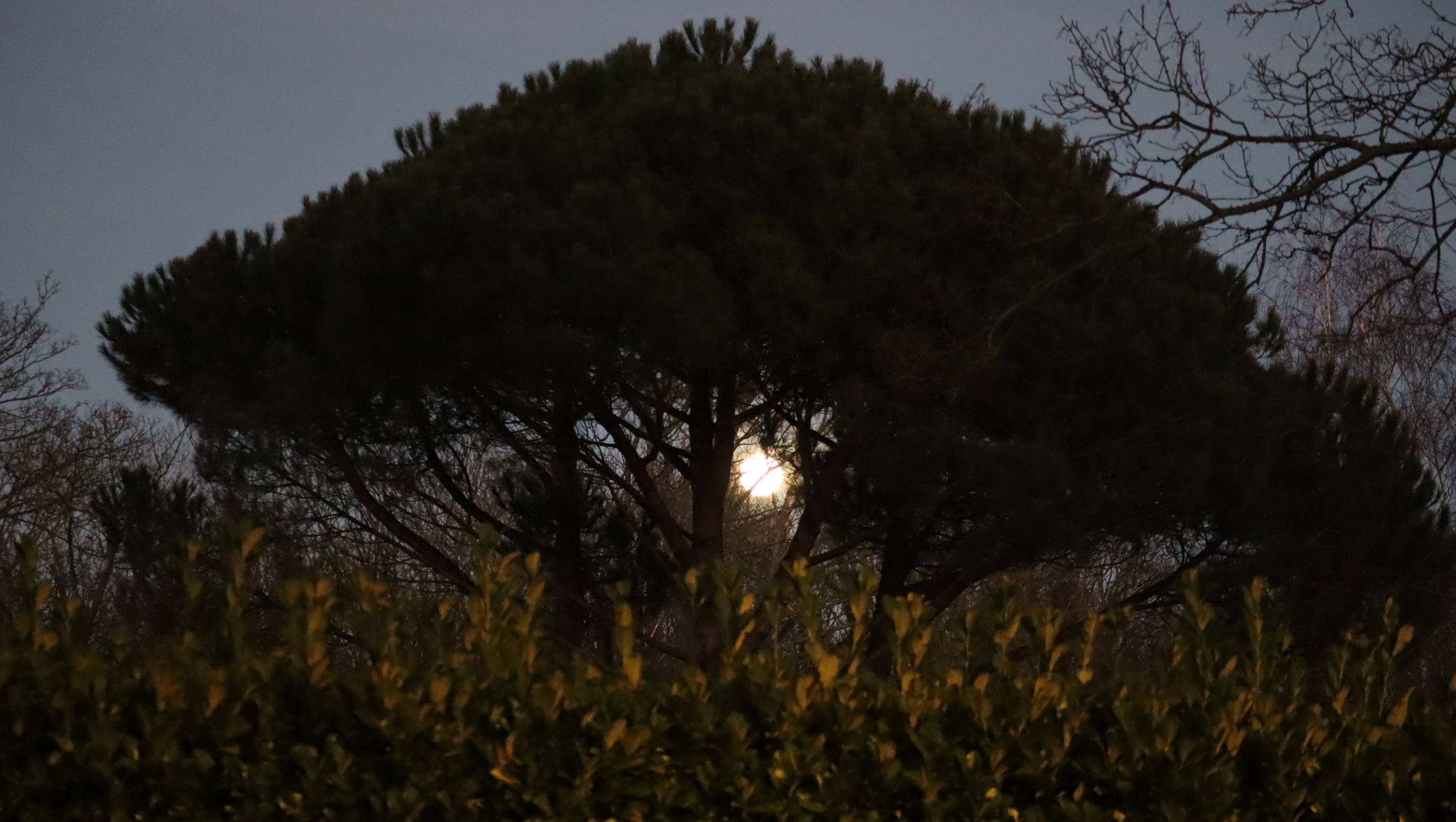 La grosse lune, toujours-là ce soir (17/01/22). Nathalie Hochard-Gaudry Nathalie Hochard-Gaudry