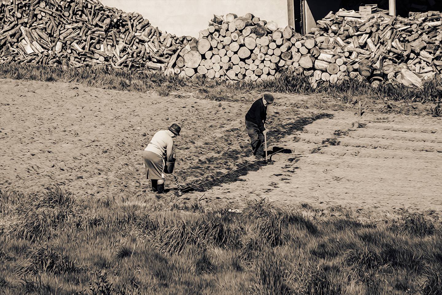 Gallegos sembrando. Nacho Cuesta