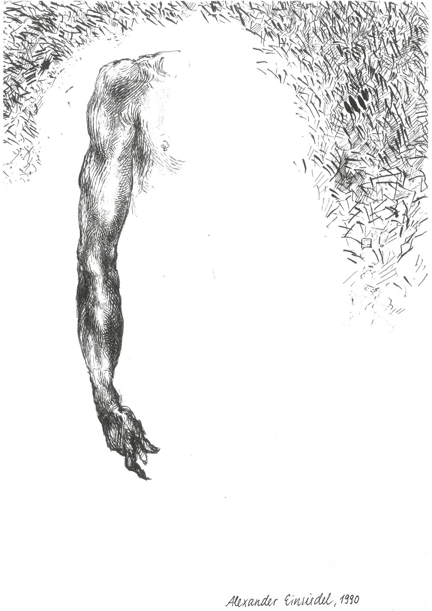 Copy after Michelangelo. Alexander Einsiedel Alexander Einsiedel