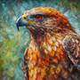 «Intense Gaze: Red-Tailed Hawk of Sedona». Chris Rutledge