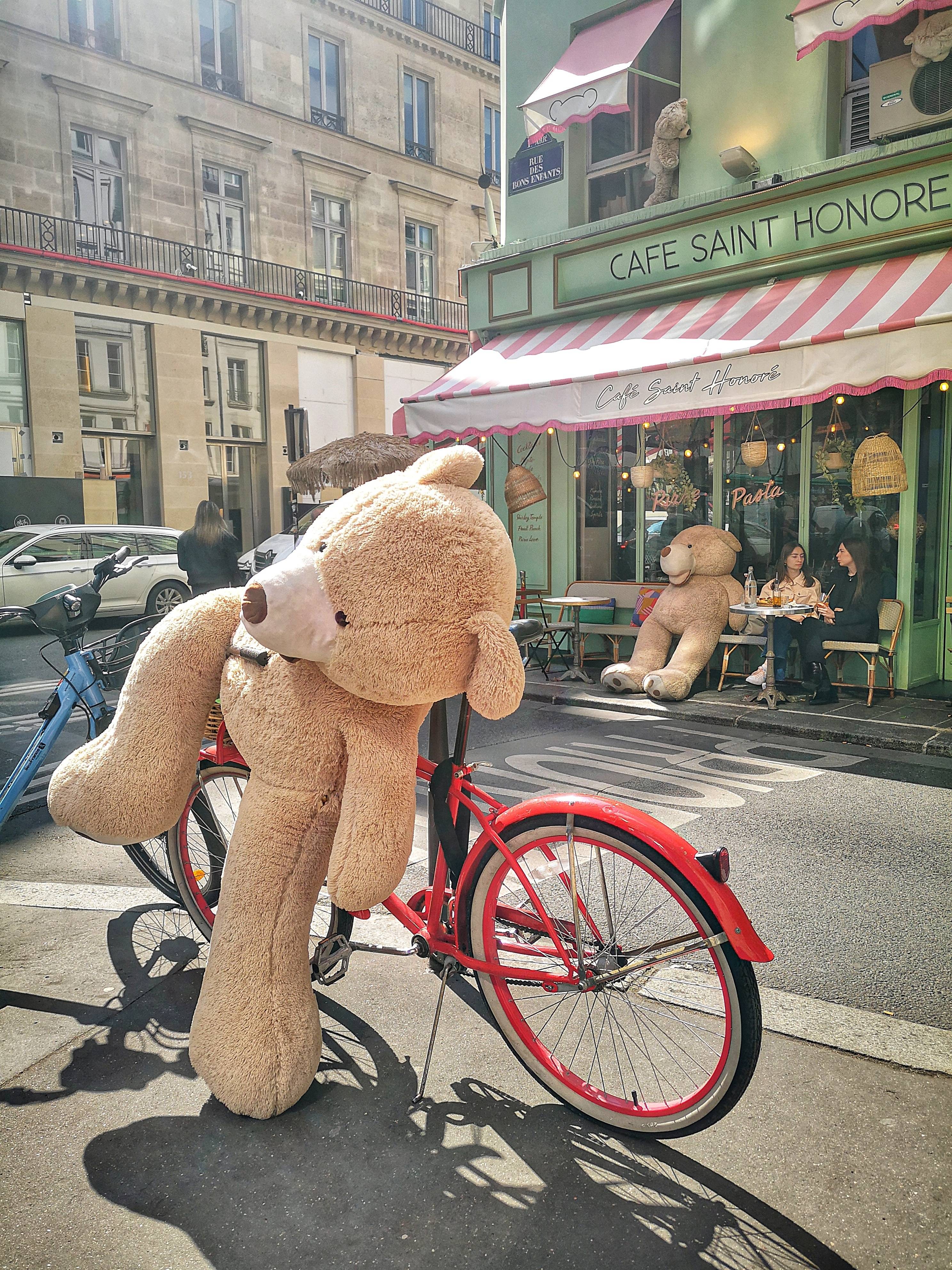 L'ours. Sandre Grain De Sandre