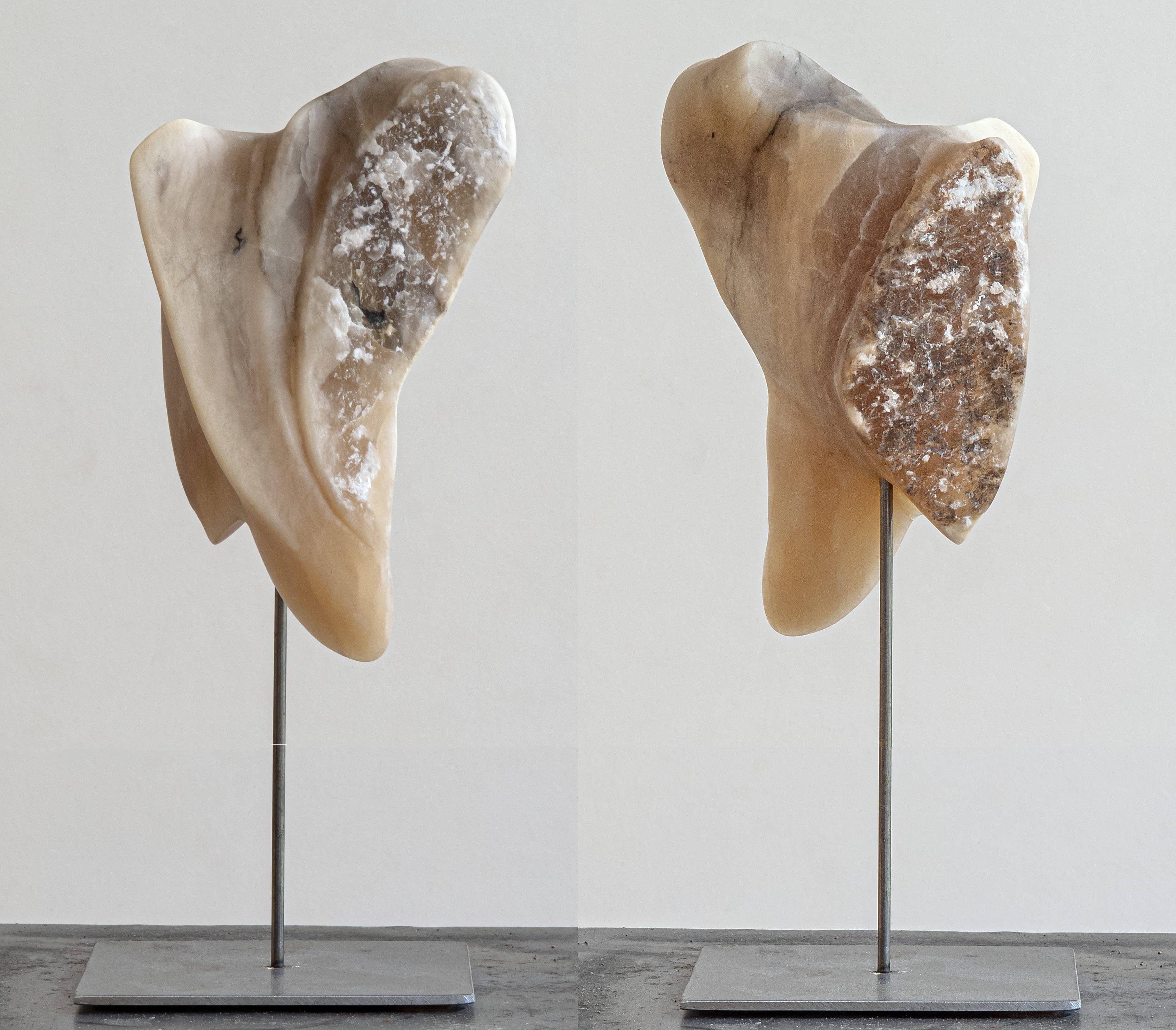 Croc. René Kubiak René Kubiak