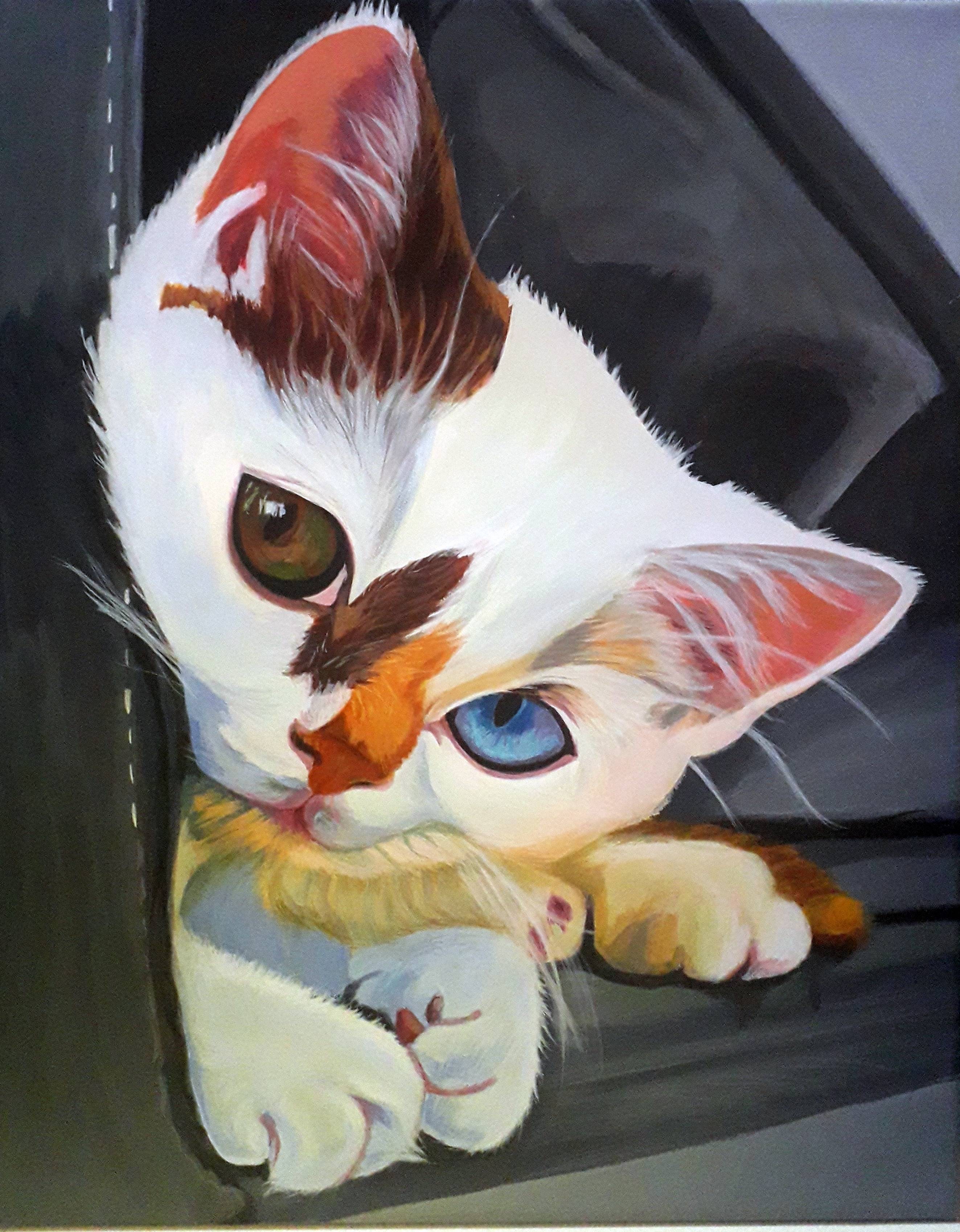 »» Kitten » ». Valle Moyano Valle