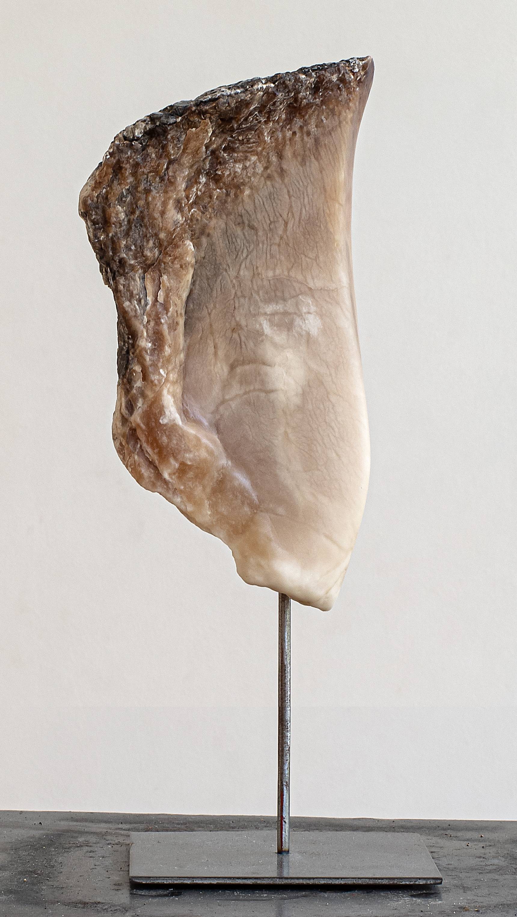 Crête. René Kubiak René Kubiak