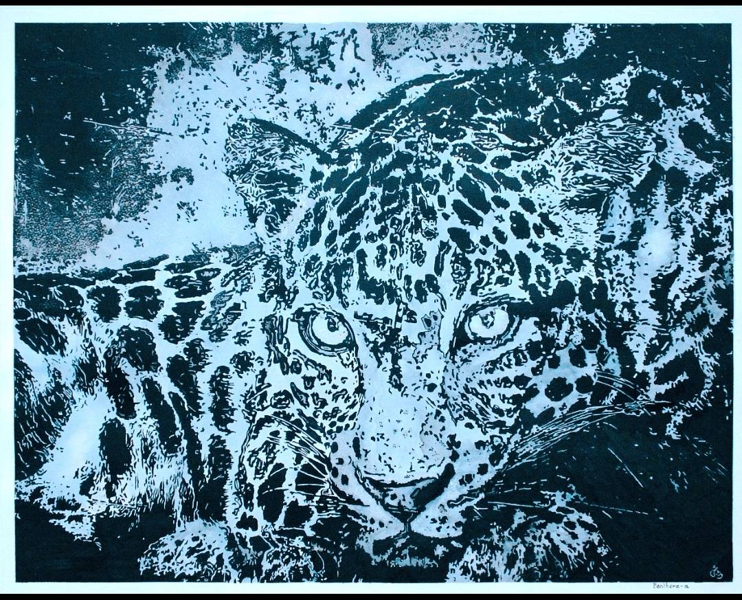 Panthera-a. Jean-Michel Legras Jeanmidijeanmi