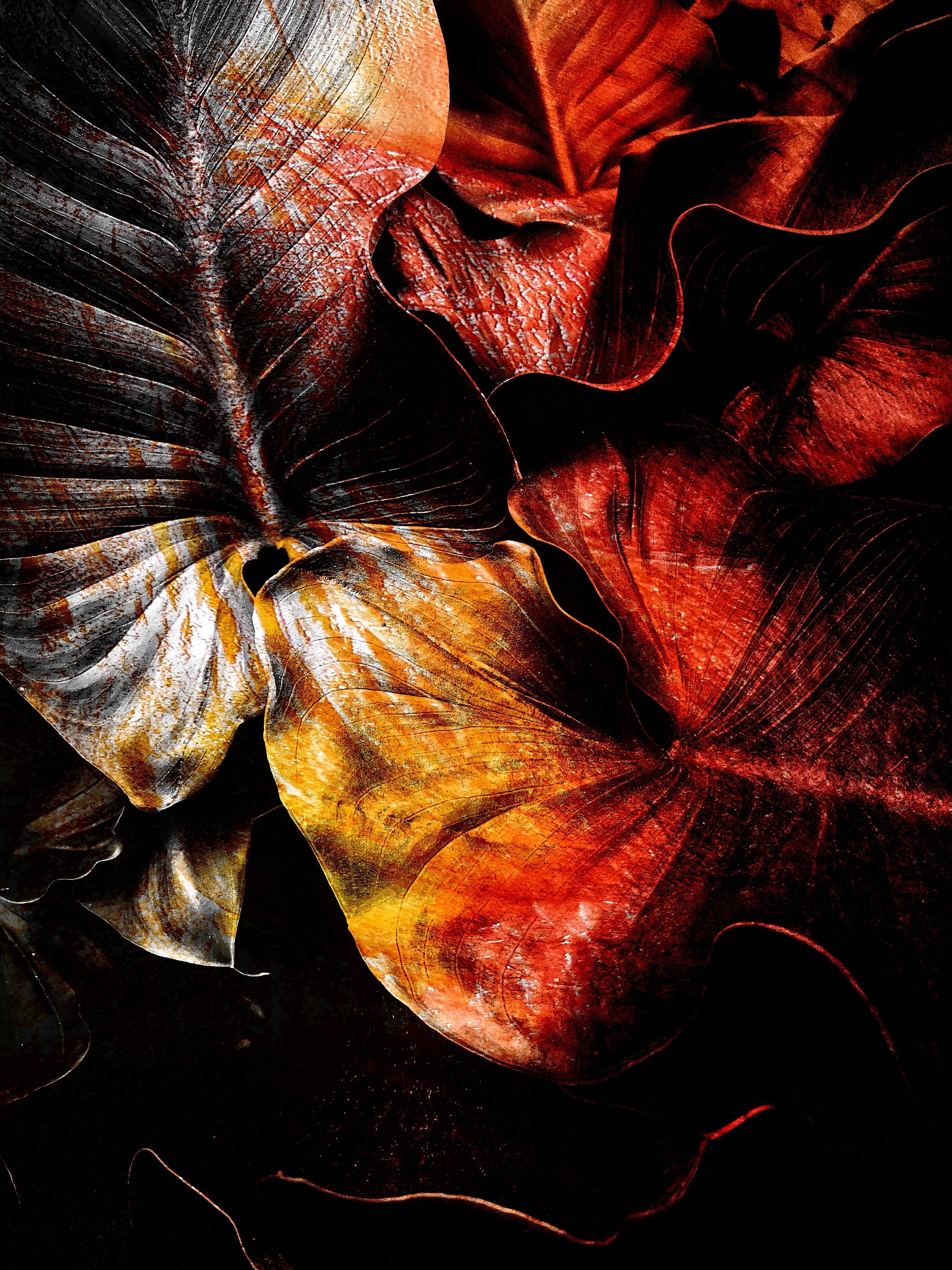 Feuilles de sang. Sandre Grain De Sandre