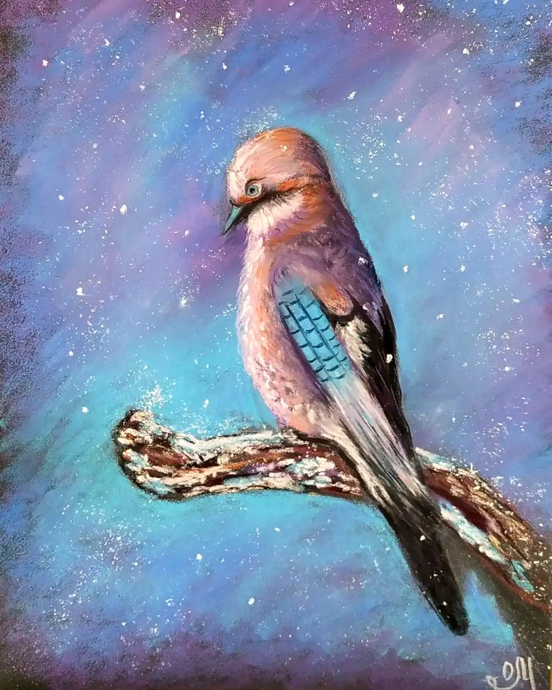 Peinture dessin au pastel sec «Geai de chêne». 