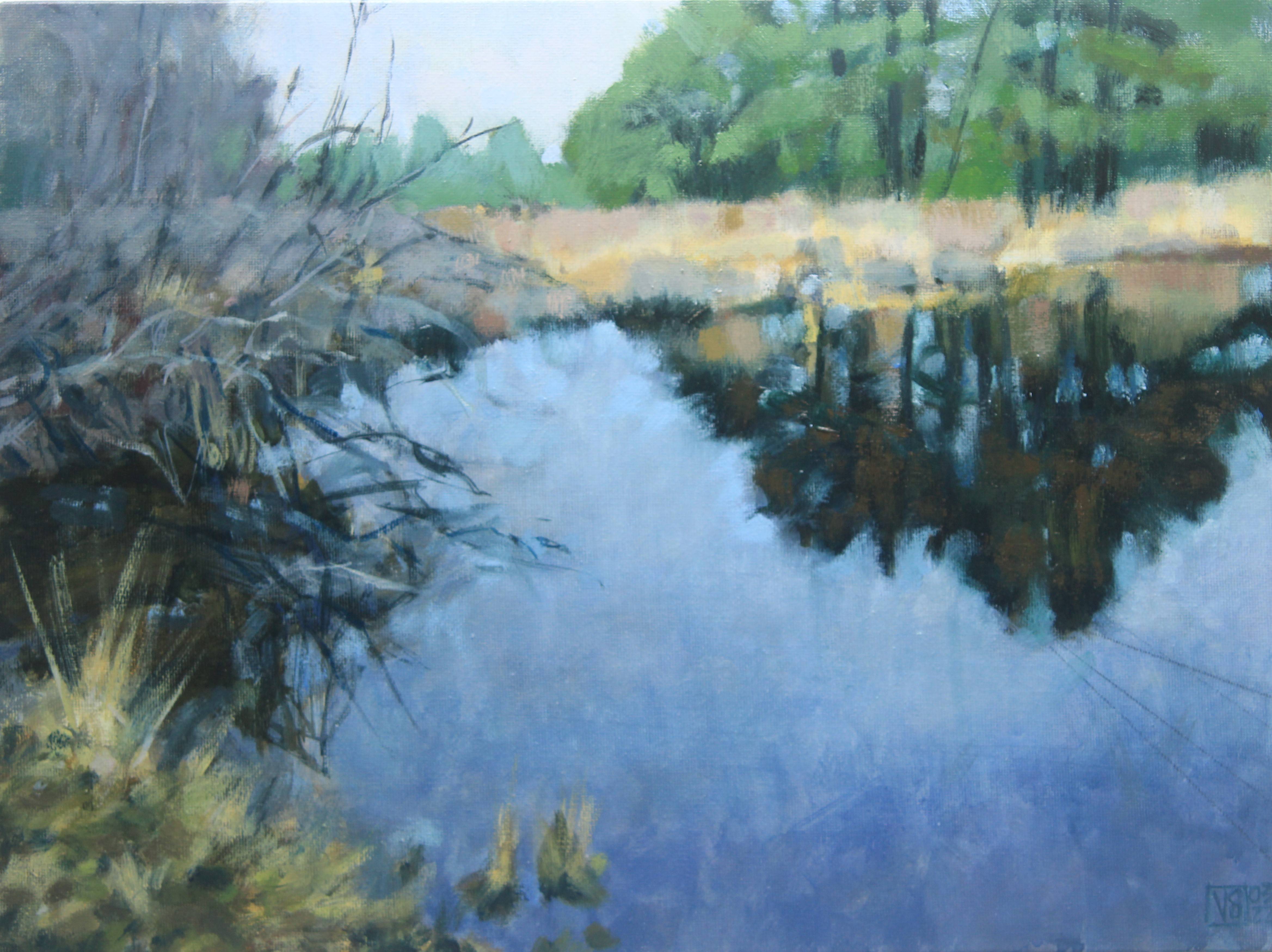 Mare aux Couleuvrains. 