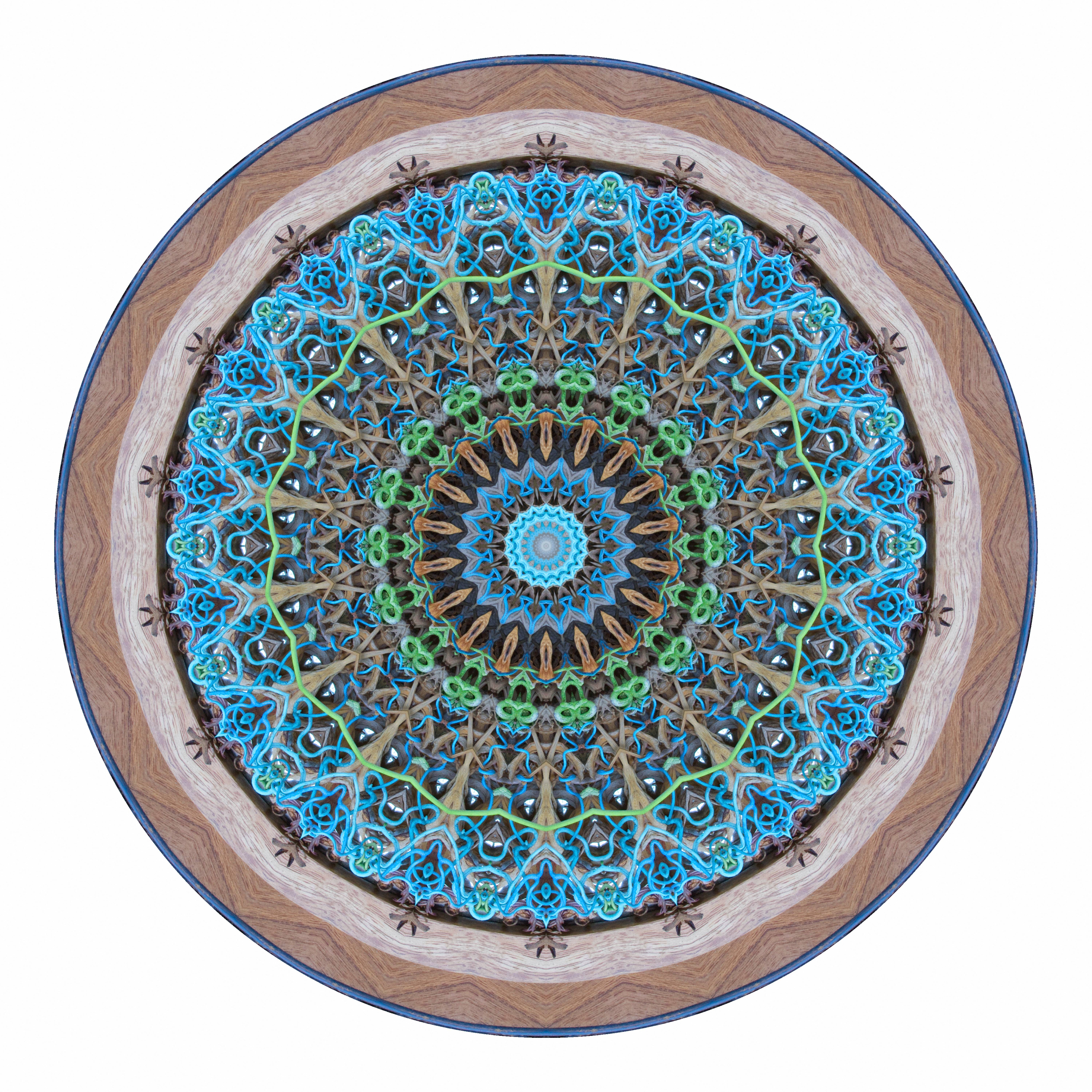Spin Circe. Stephen Calhoun Stephen Calhoun