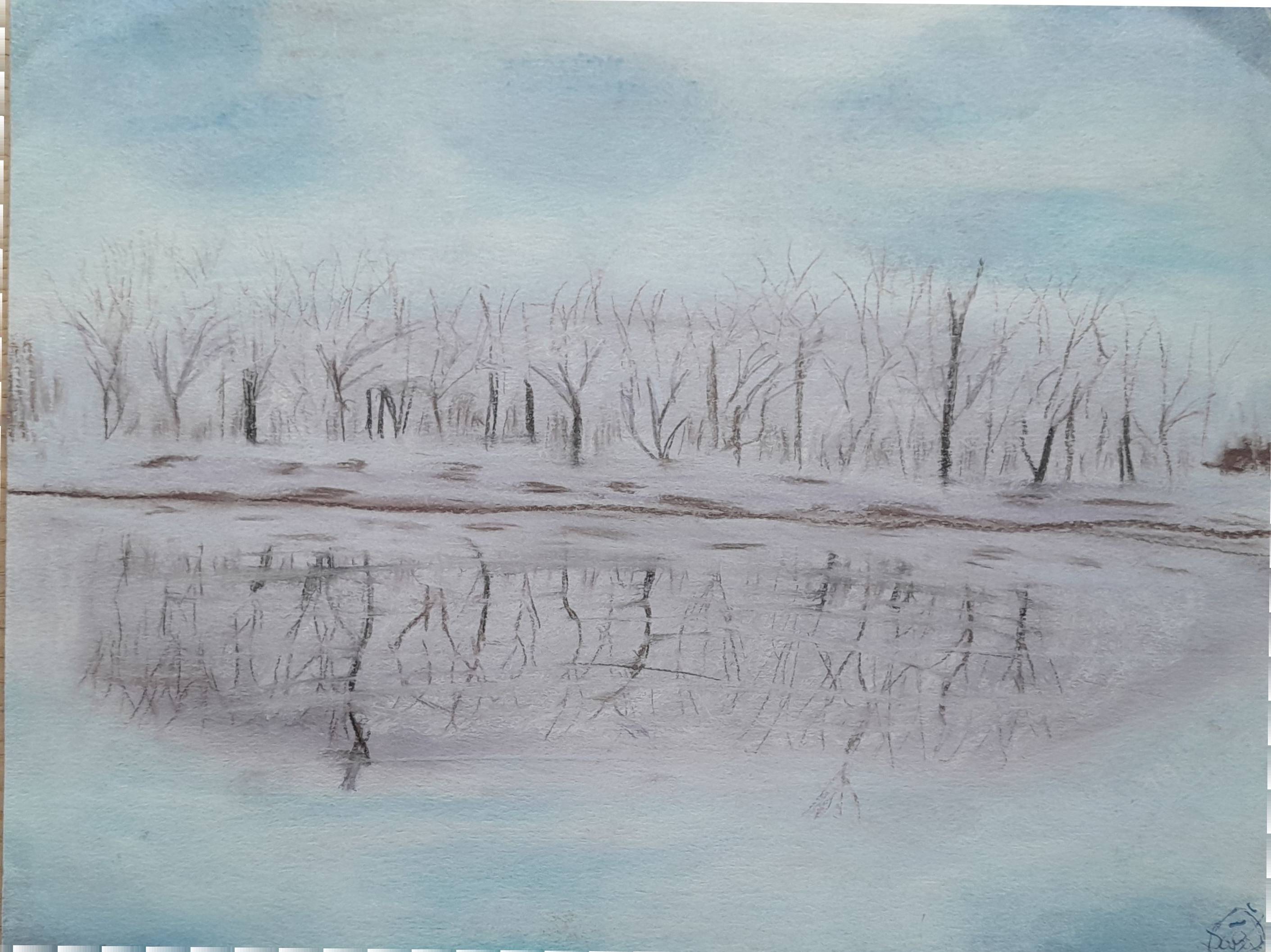 Reflejo invernal. Sara Murcia