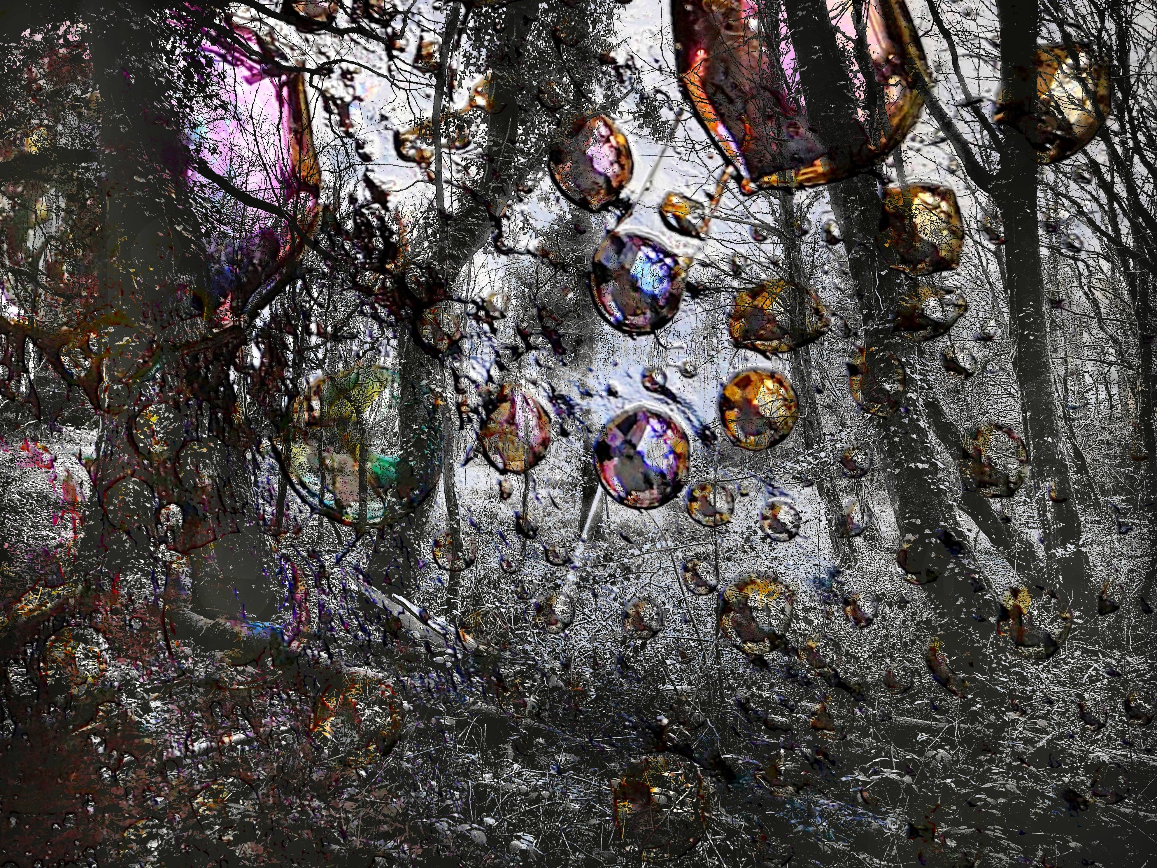 La forêt de bulles. Sandre Grain De Sandre