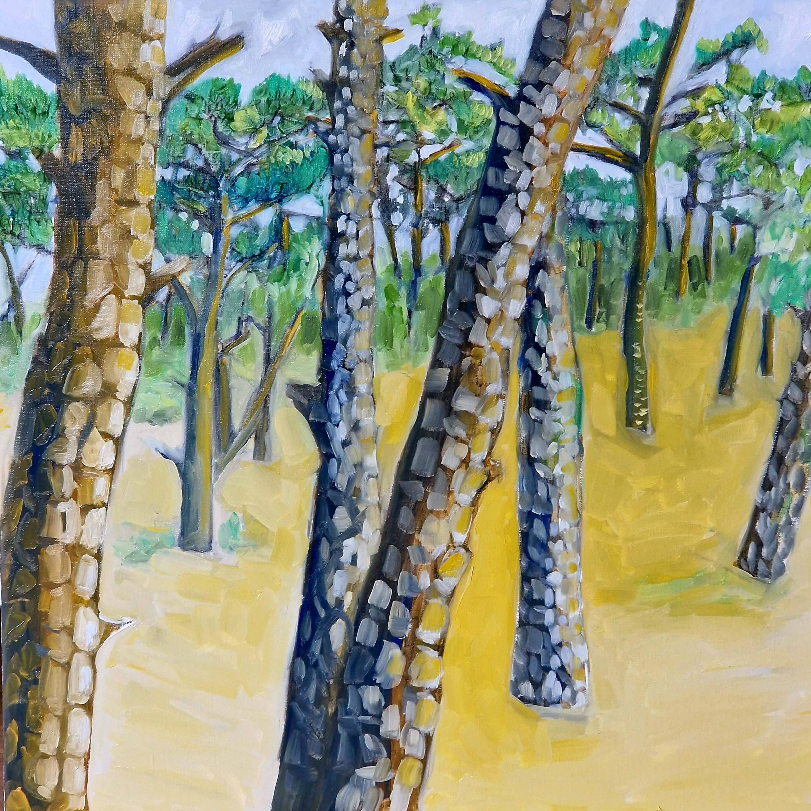 Paysage (seriz). Selleret Frédéric