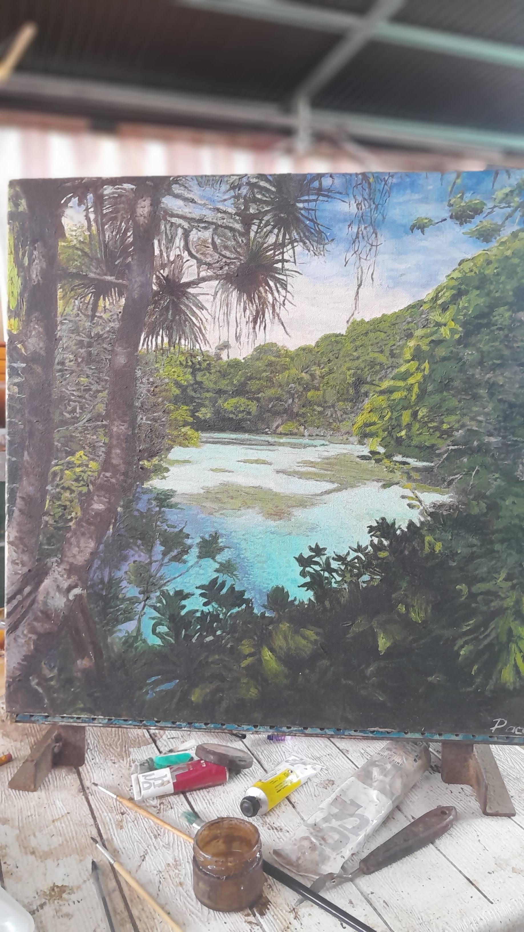 Mangrove du pacifique. Pascal Maurin