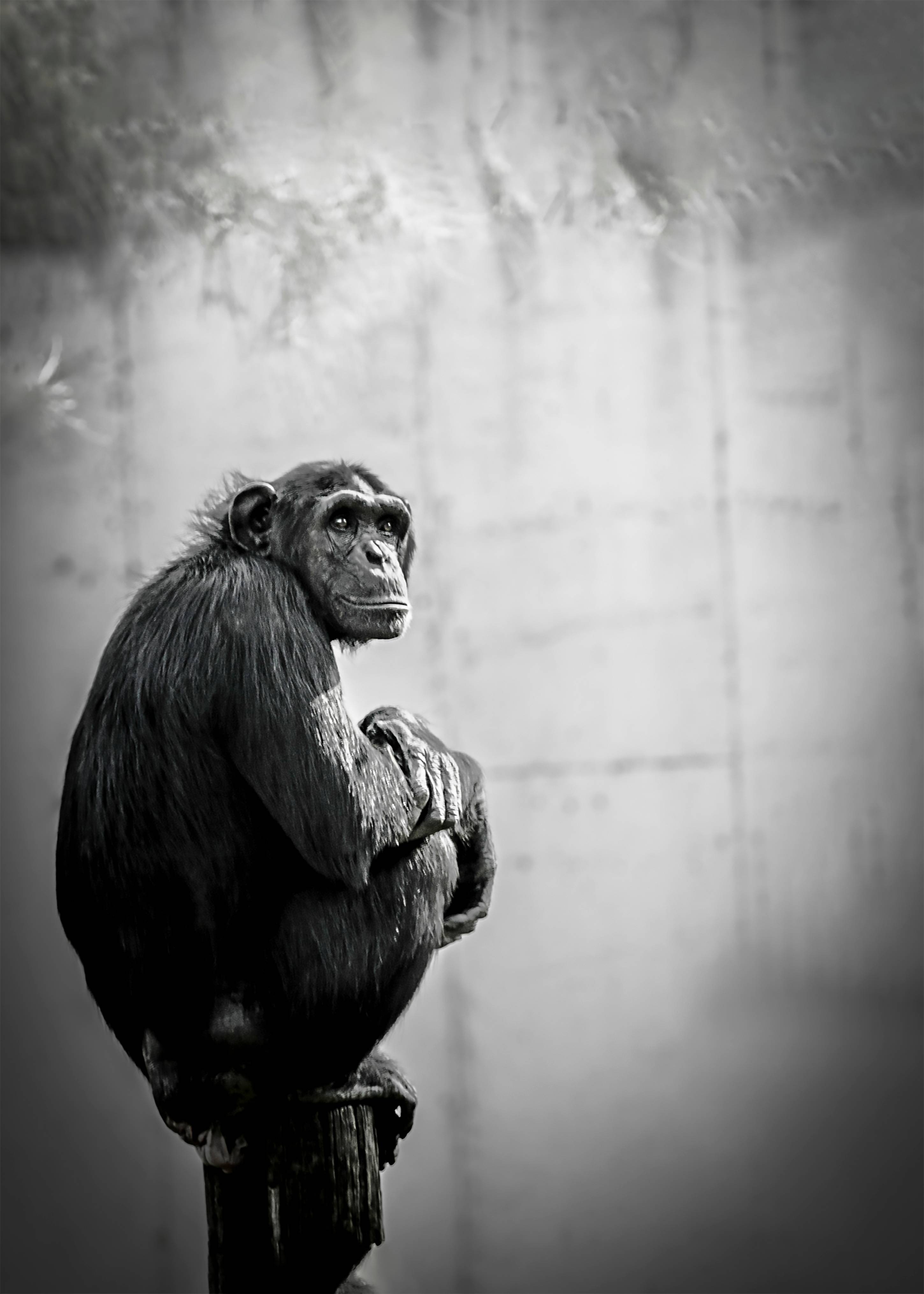 Just sitting. Argumentart