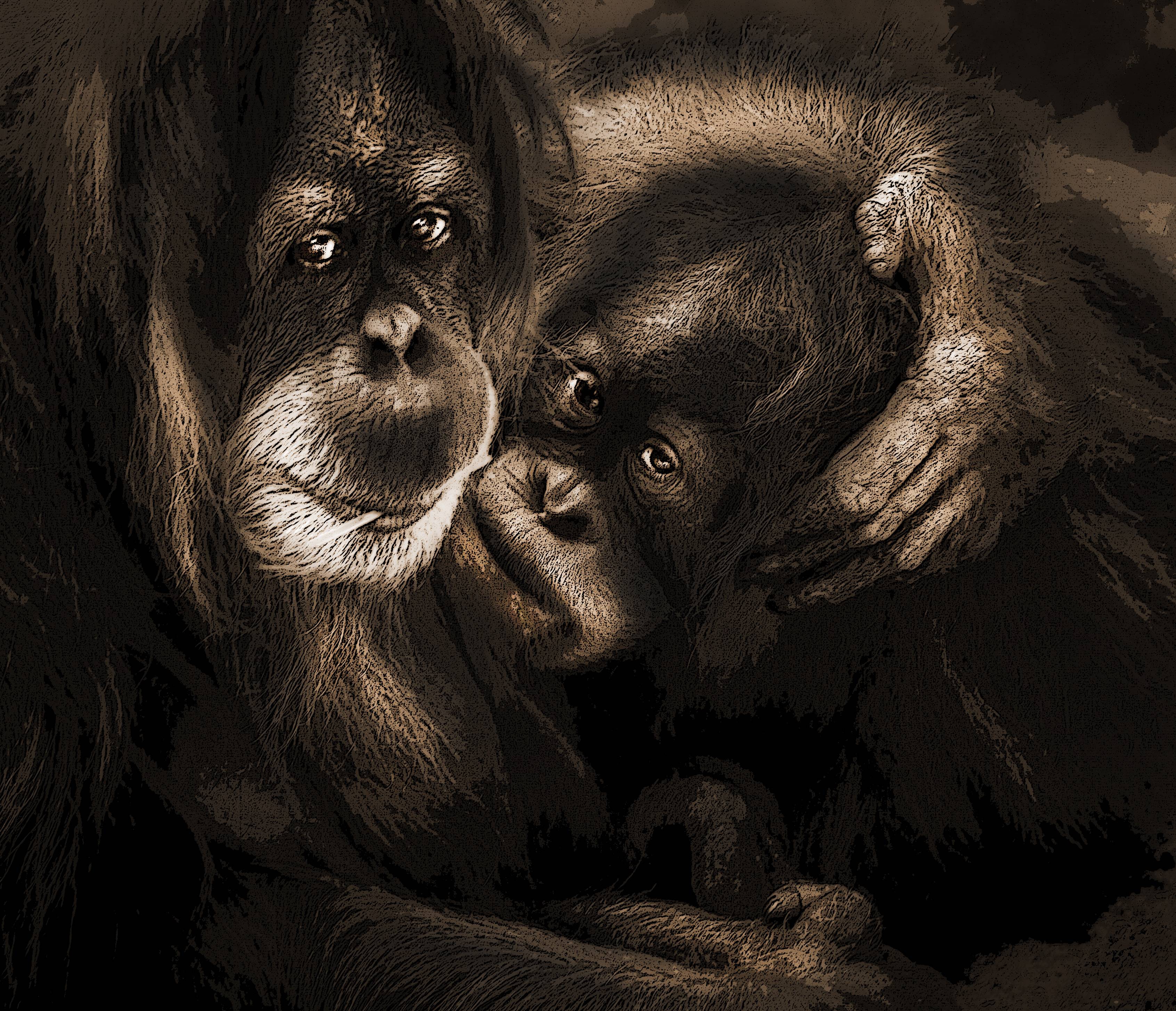 The mother. Amr Miqdadi Argumentart