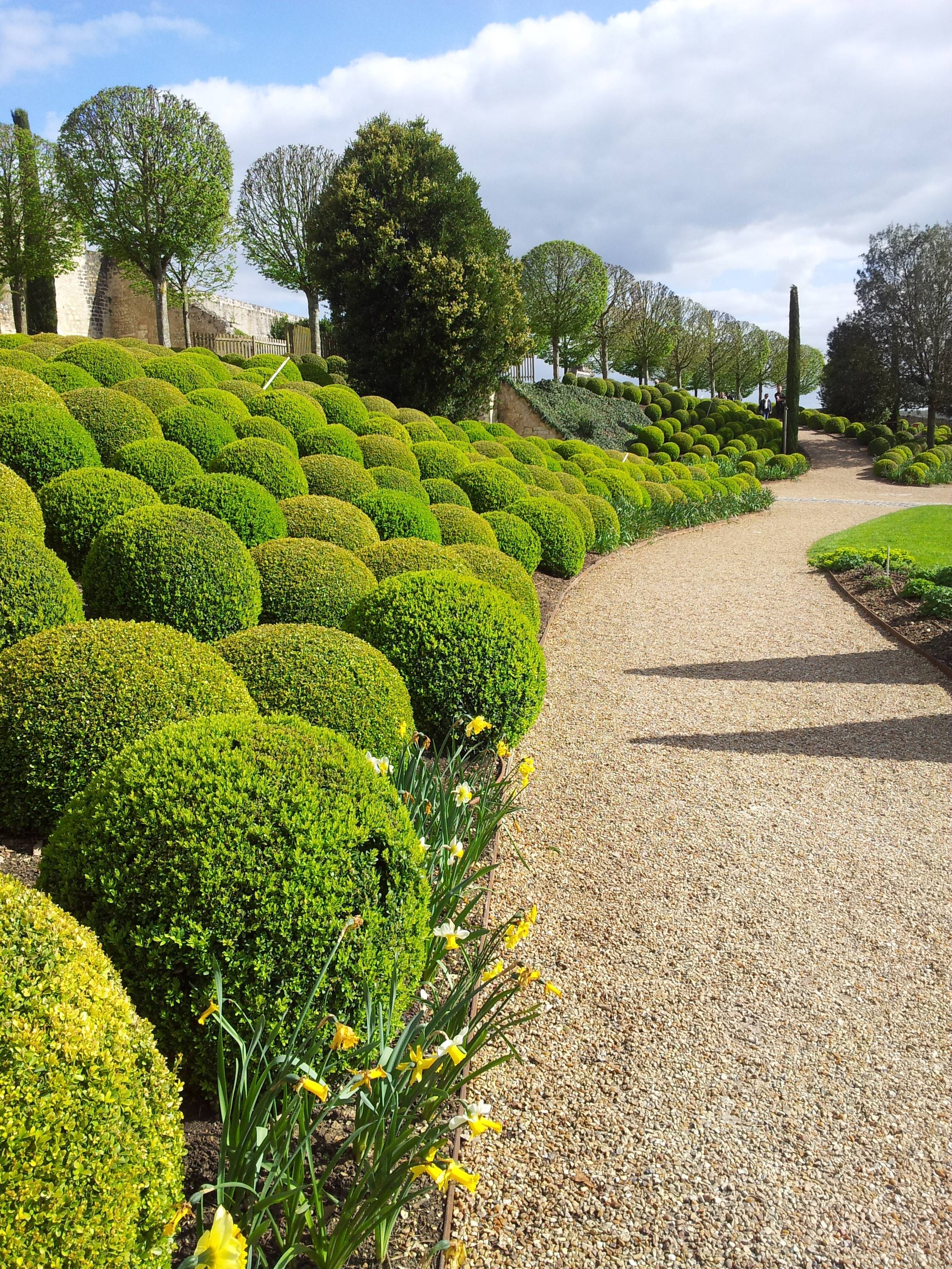 Boules de buis - Amboise. Suzanne Agathinsky