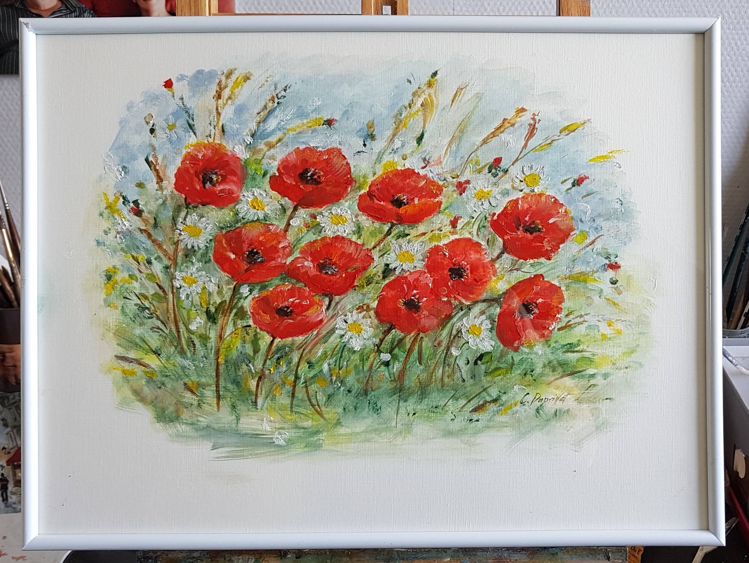 Coquelicots. 