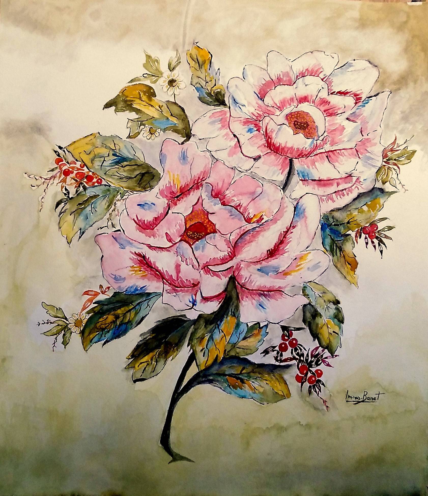 Rosa anglesa. Imma Banet Imma Banet Illa