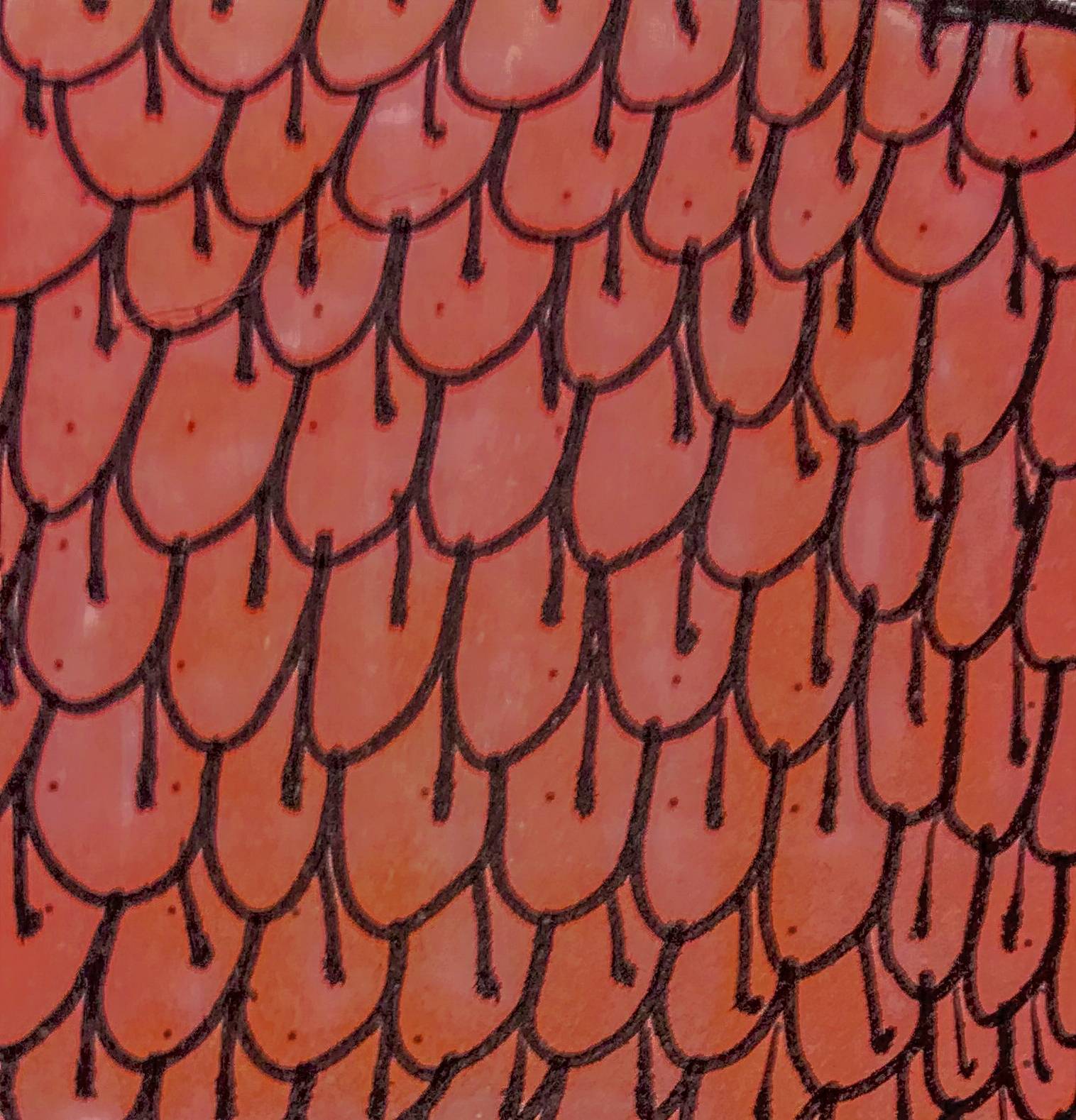 Zenva01. Le Kalamos Enchanté