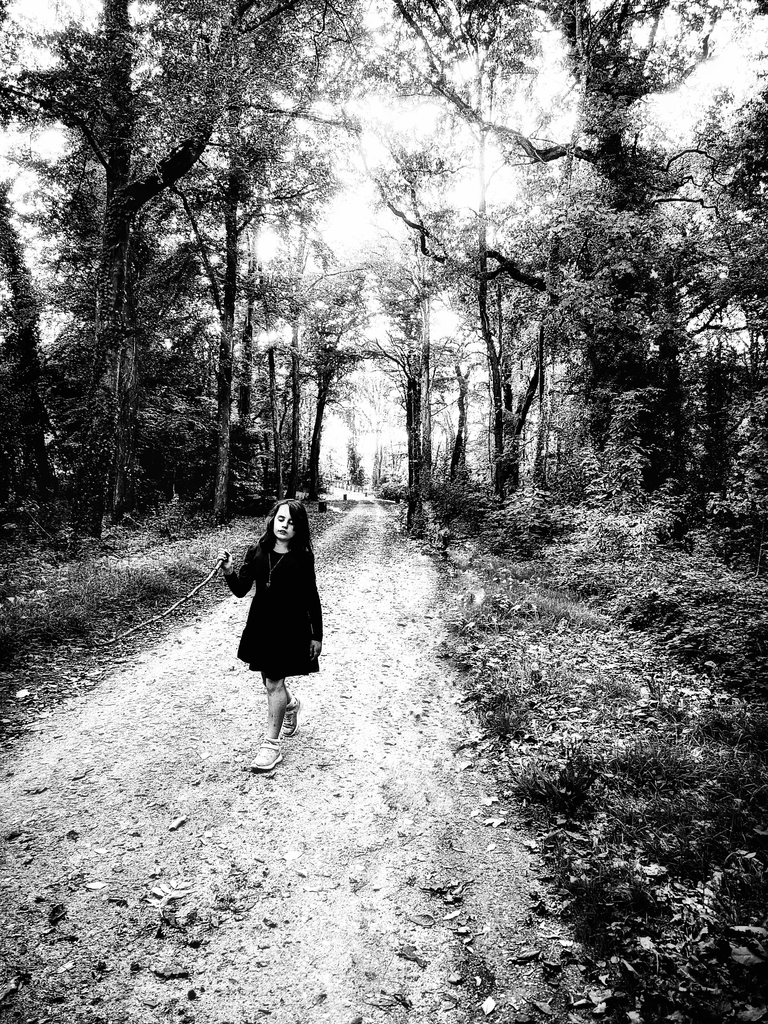 Promenons nous dans les bois…. Grain De Sandre