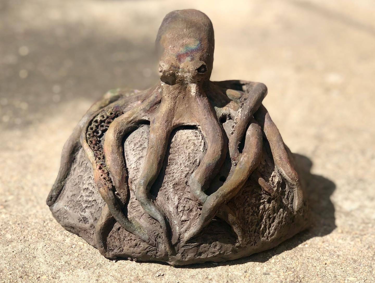 Pulpo Raku. Rafael Javier Rafael Javier