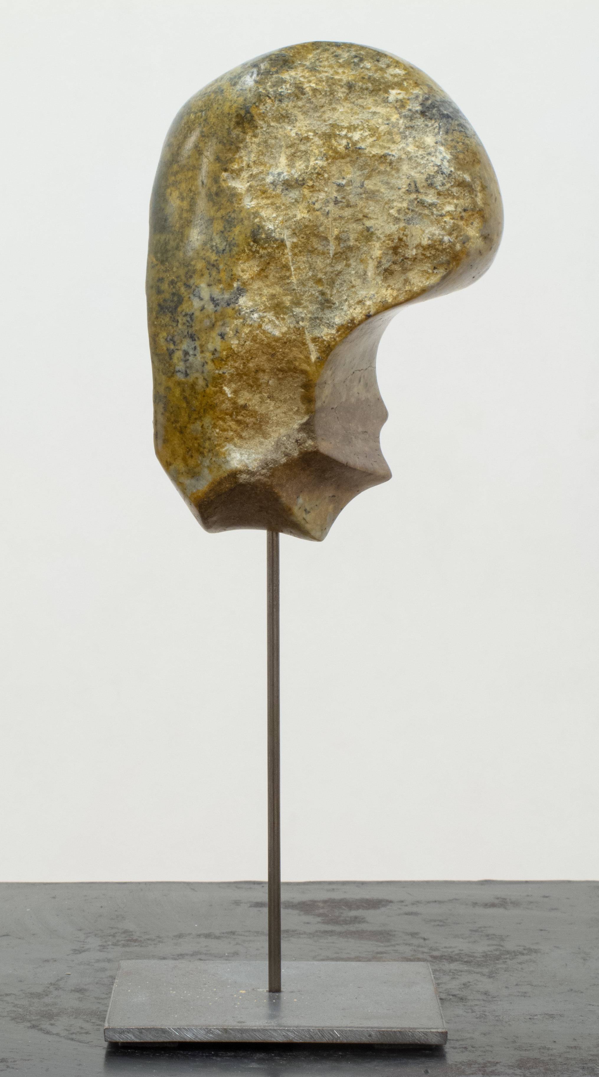 Lucy. René Kubiak René Kubiak