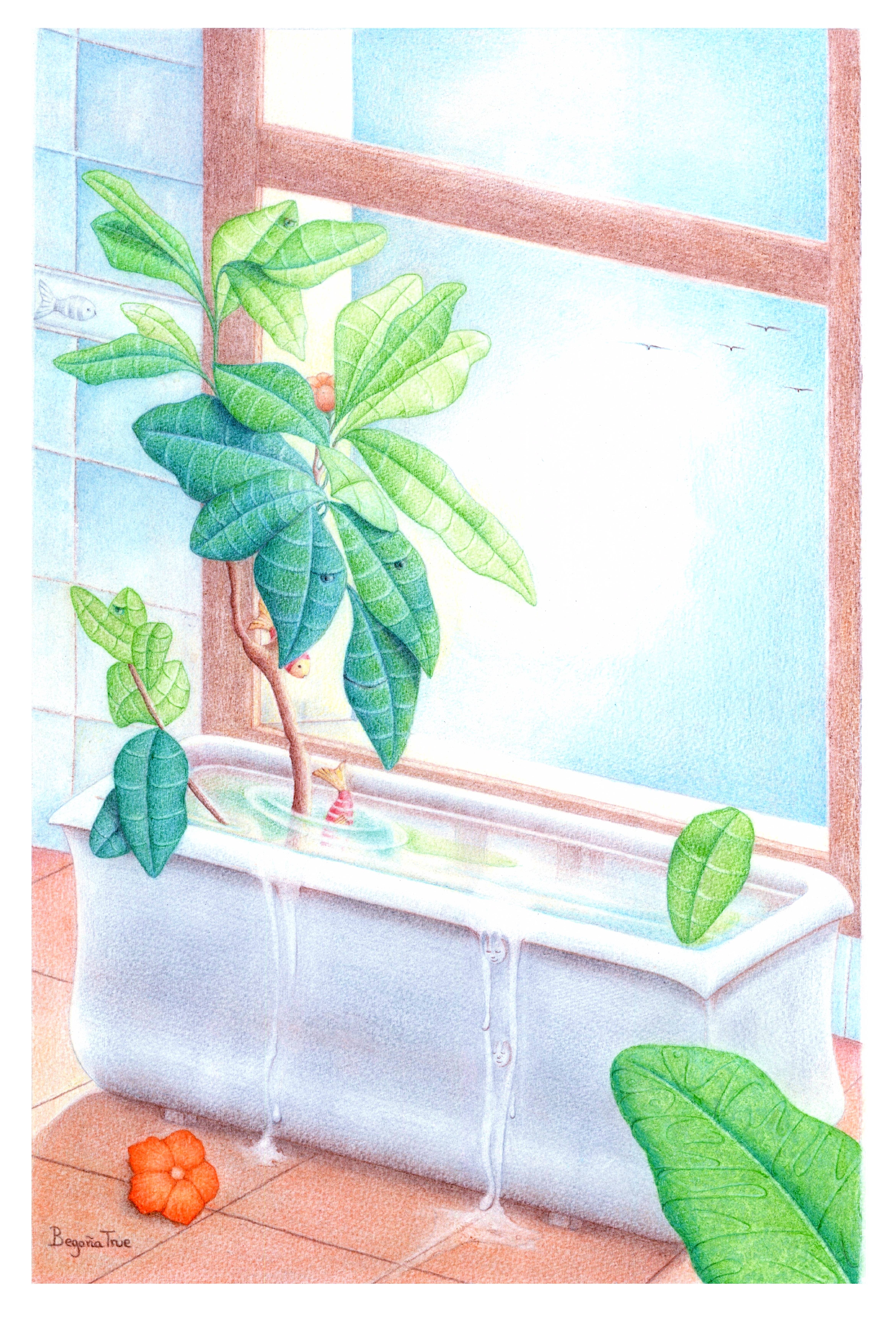 In the tub, part of the series The secret life of plants. Begoña True