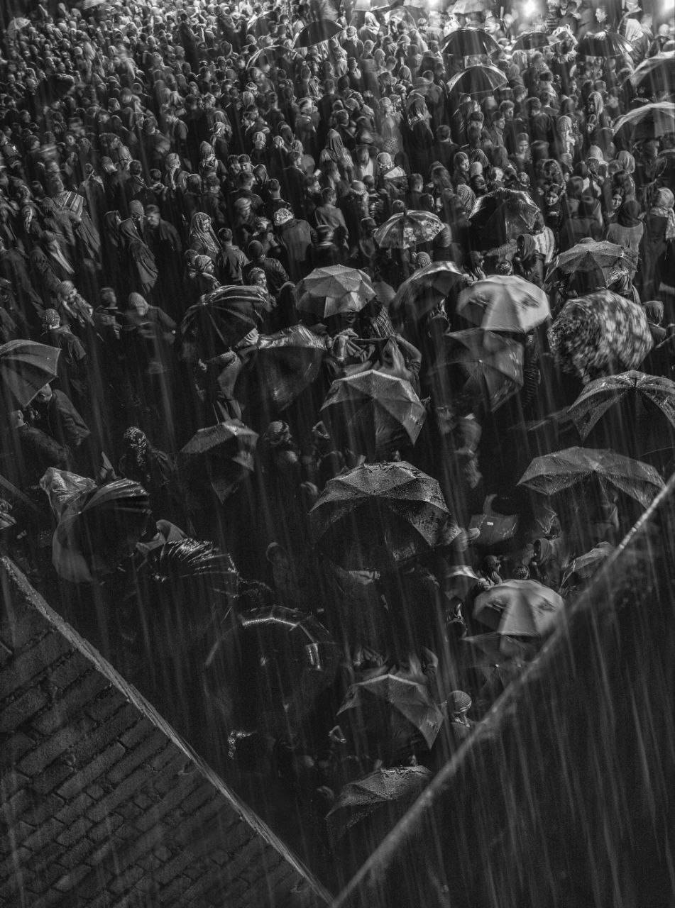 Rain & umbrella. Zhale Bahrami Zharfhonar