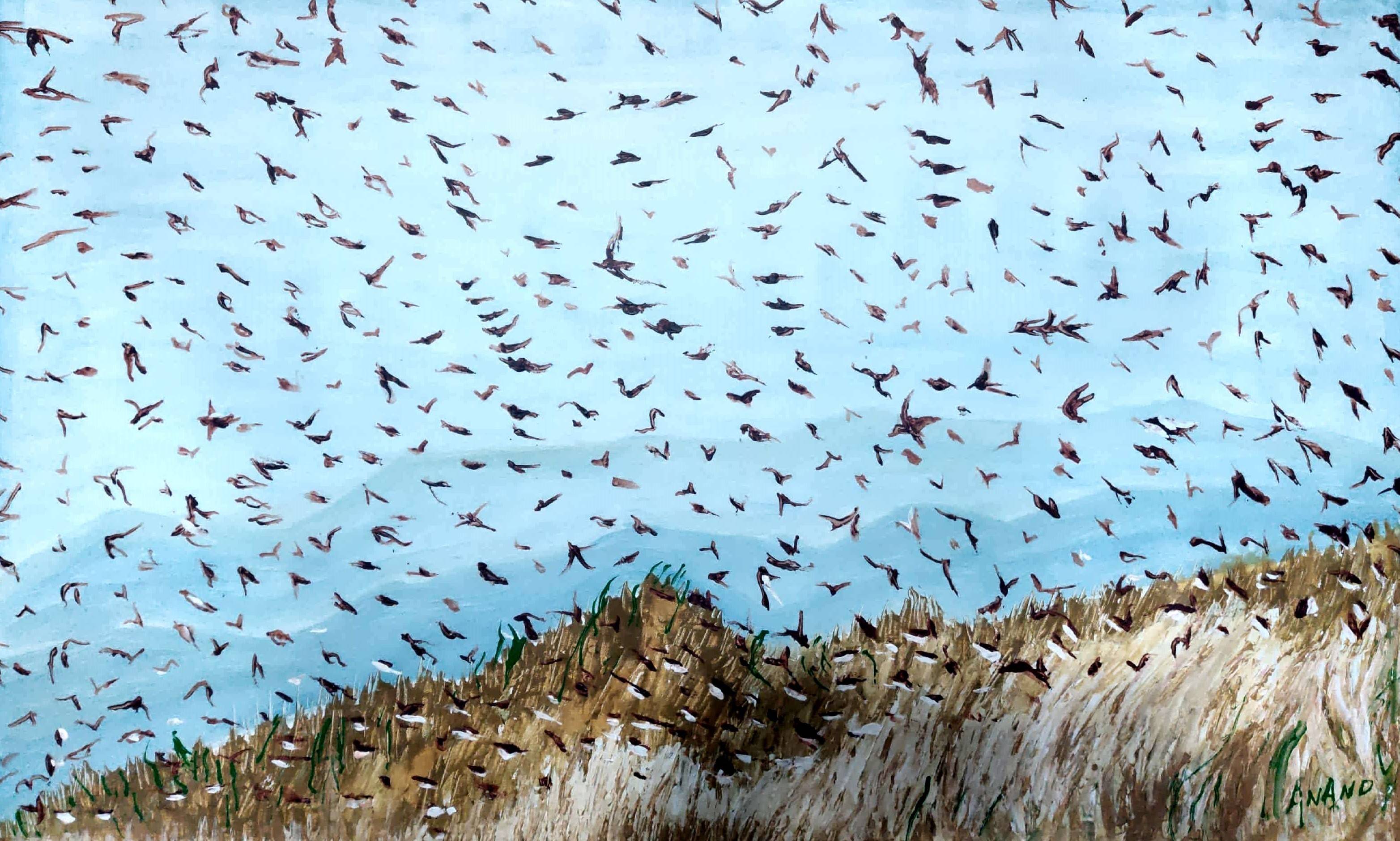 Birdy sky. Anand Swaroop Manchiraju Anand Manchiraju