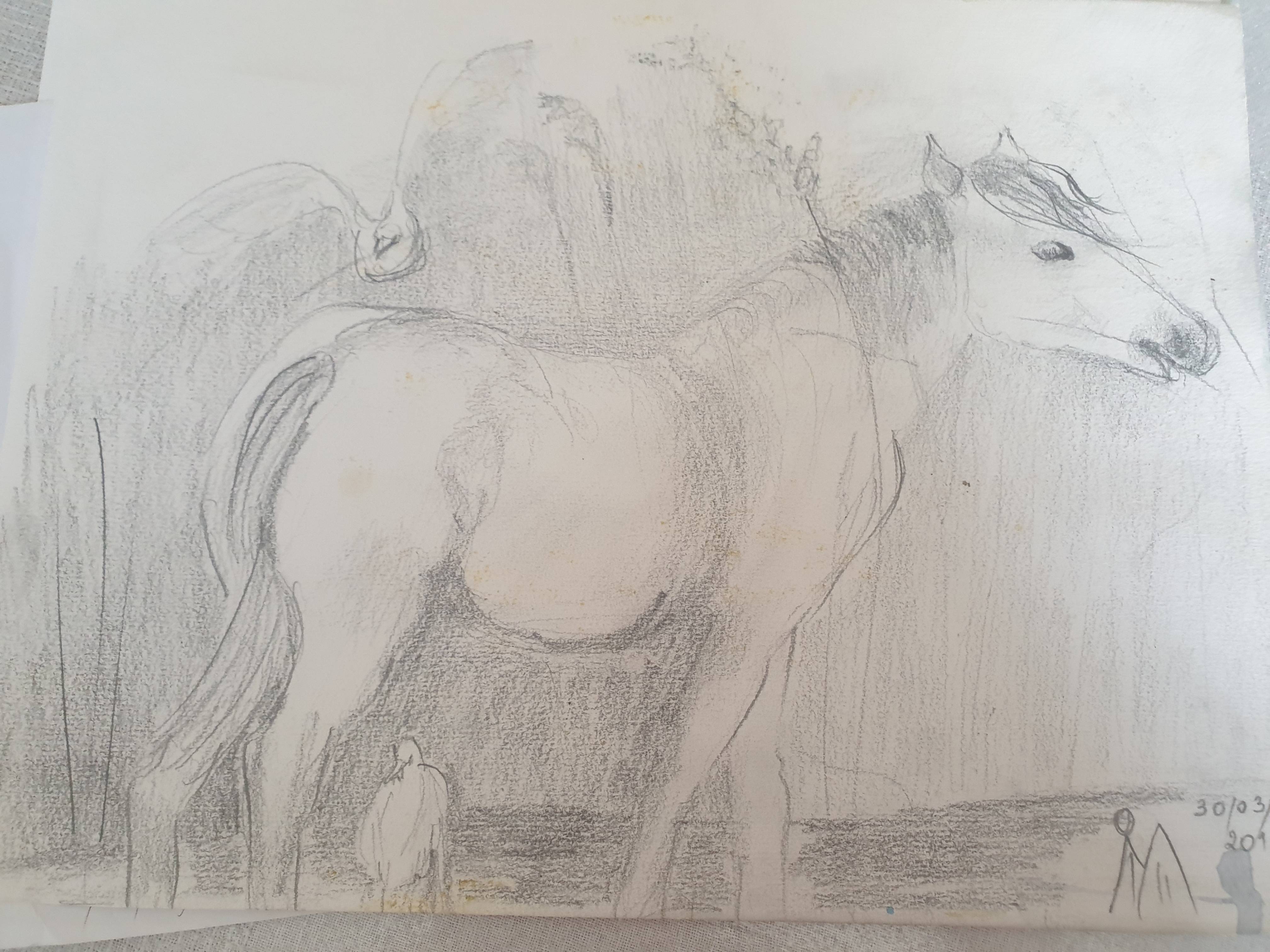 Aube camargaise. Milly