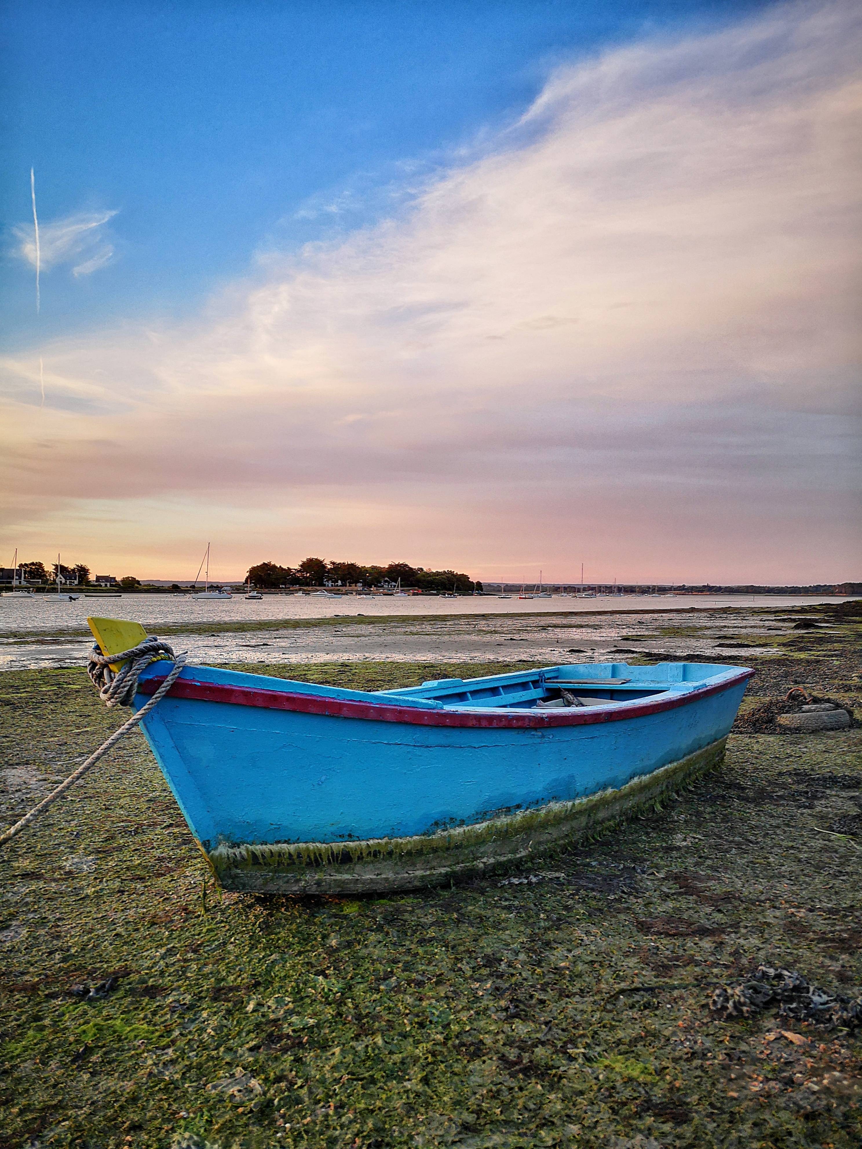 La barque bleue. Sandre Grain De Sandre